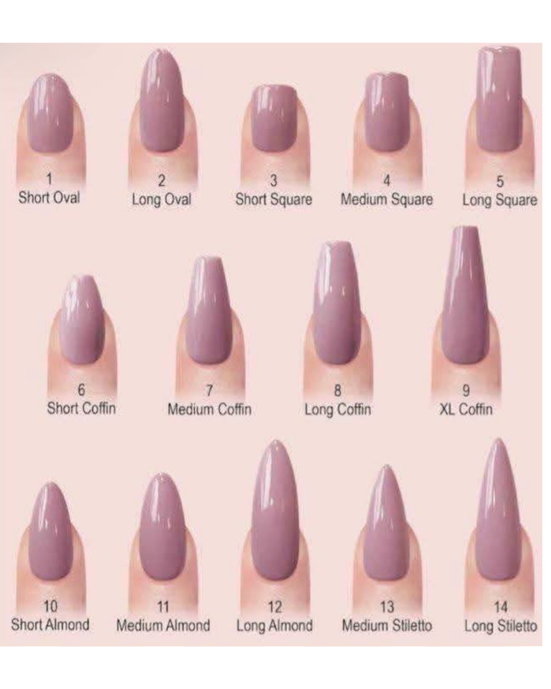 Nail Shape Chart.png (Copy) (Copy) (Copy) (Copy) (Copy) (Copy)