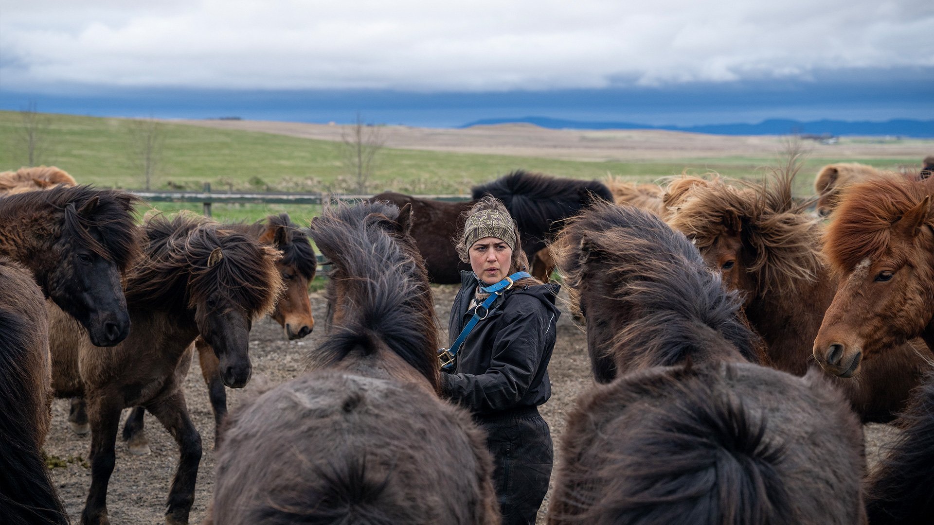 A woman wearing a beanie and black jacket standing among a group of horses in an outdoor field with rolling hills and cloudy sky in the background.
