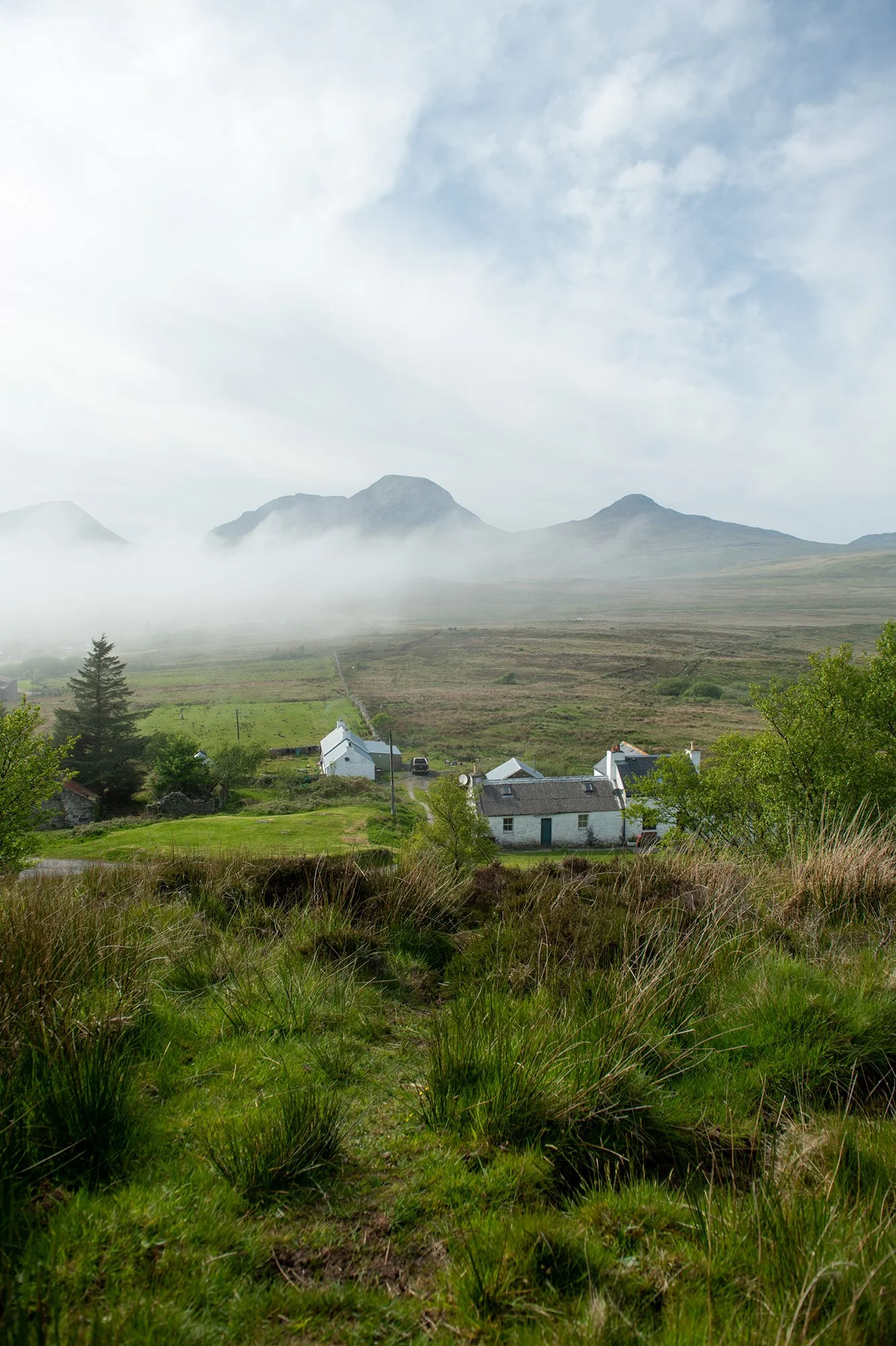 Maule-ffinch_Hannah_ ff_7.jpg