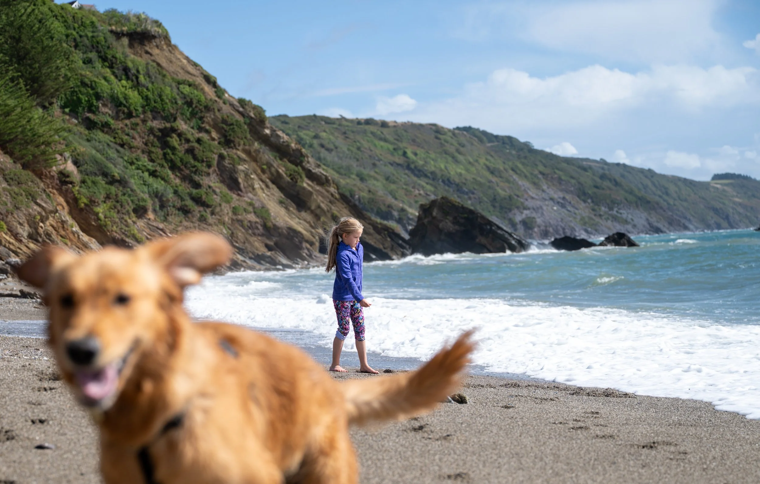 cornwall_-5387.jpg