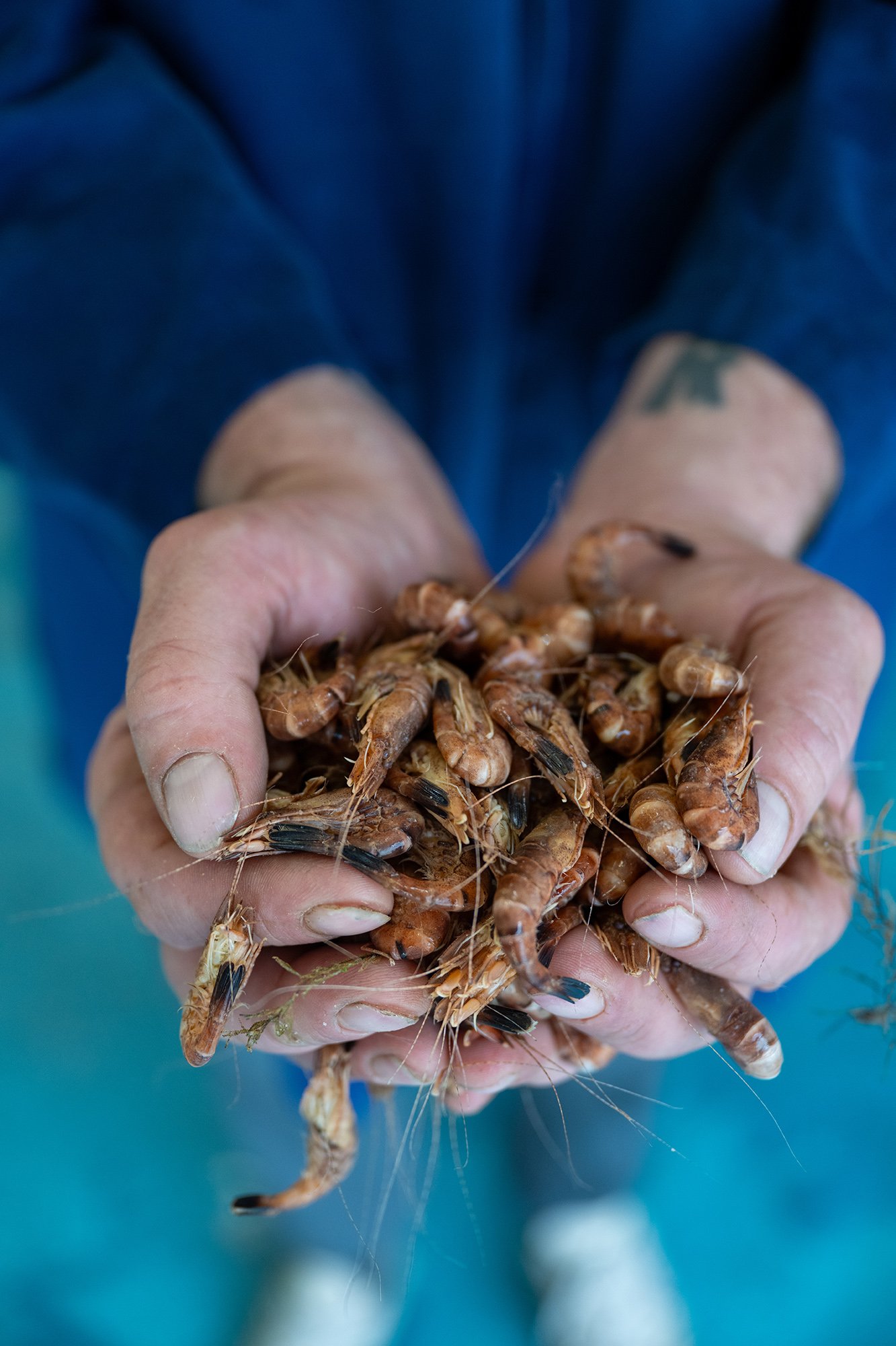 image 2 msc_kingslynn-3656.jpg