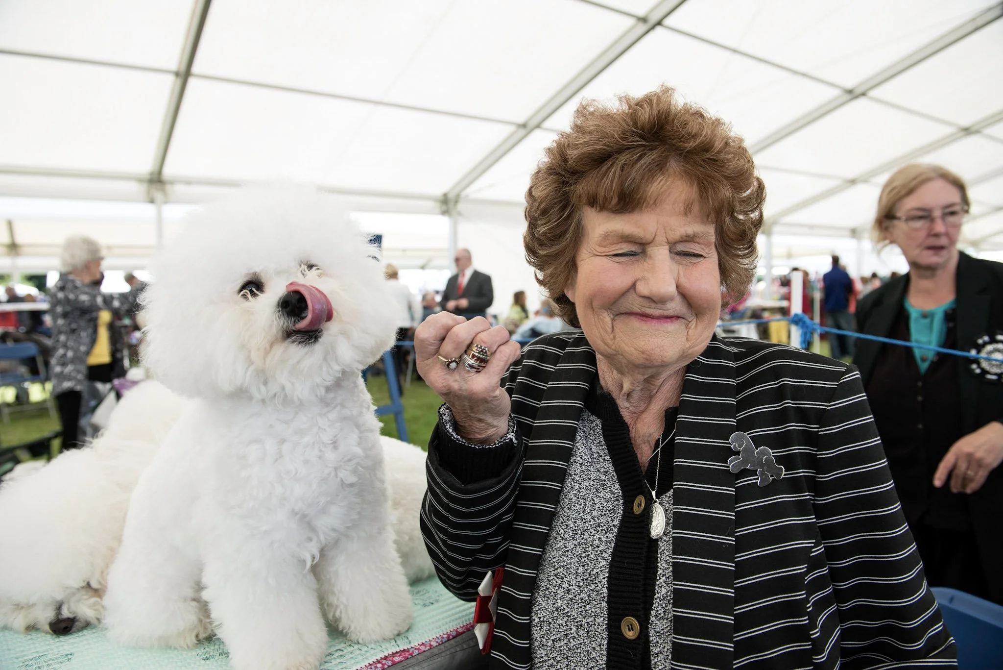 A lady with her dog at Crufts show