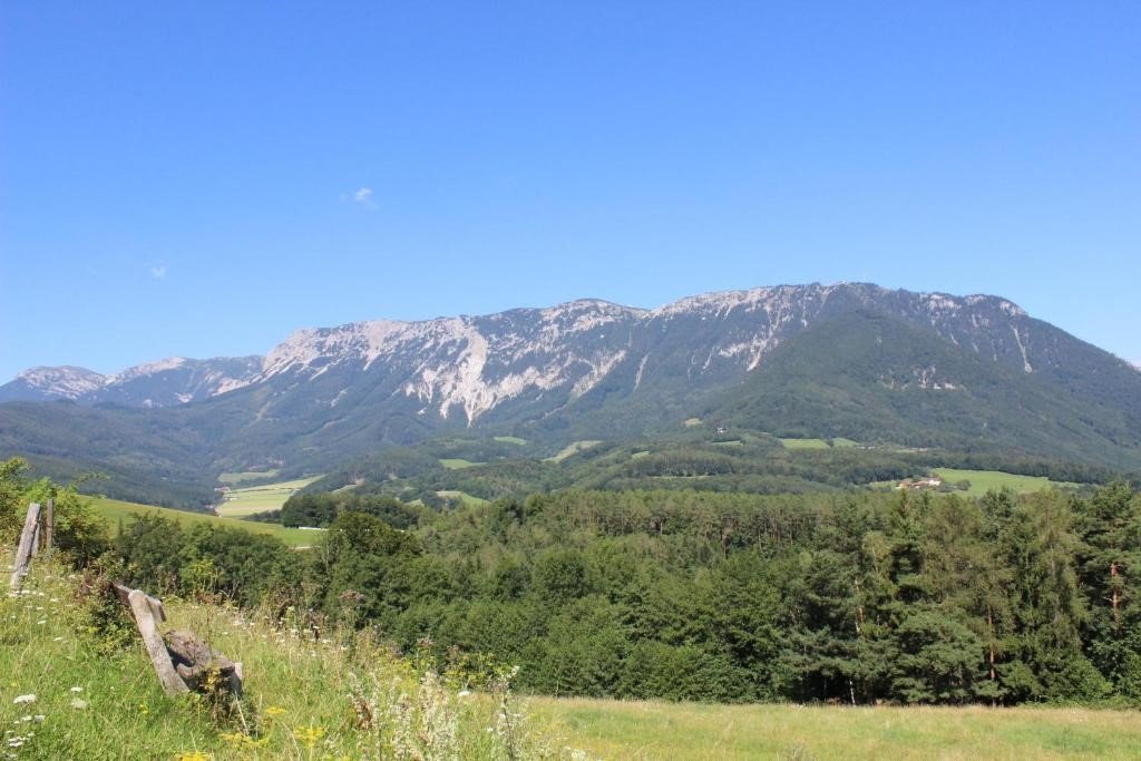 Vienna and Reichenau