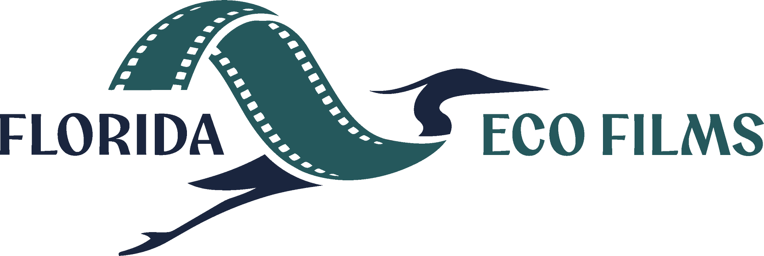 FLORIDA ECO FILMS