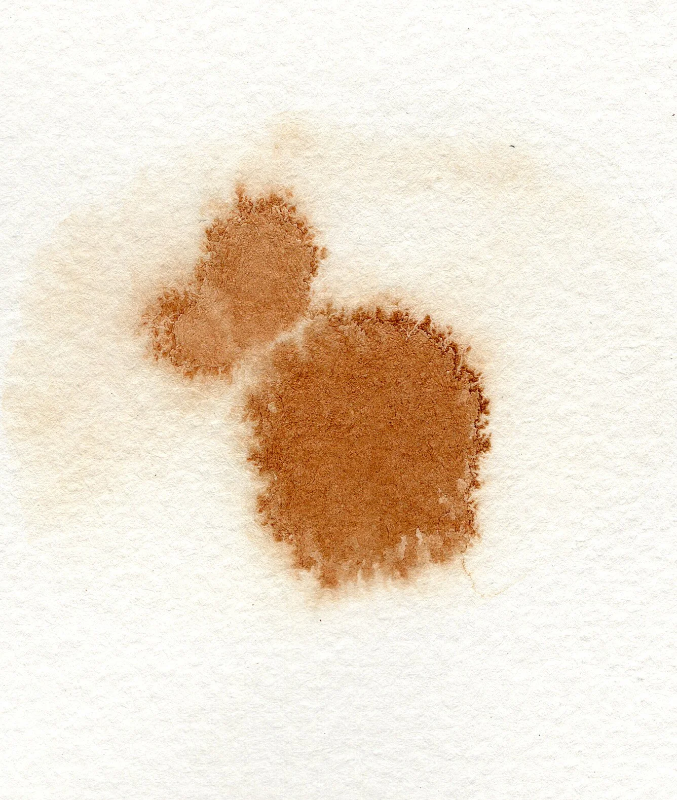 splotches_brown.jpg
