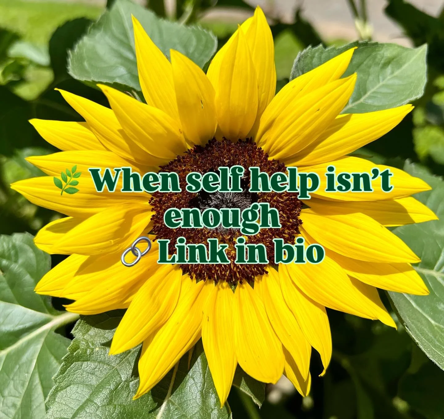 🌿 Self-help is brave.
But when you&rsquo;re still feeling stuck, exhausted, or overwhelmed, it&rsquo;s okay to want more.
At Rooted in Serenity, we offer trauma-informed medication management that builds on the self-work you&rsquo;ve already done&md