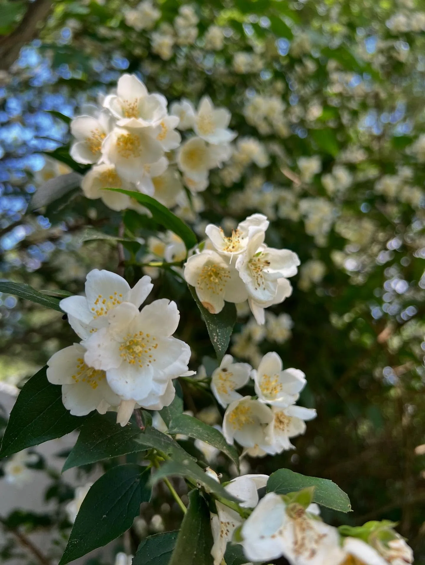 🌿 Medication doesn&rsquo;t change who you are &mdash; it helps lift what&rsquo;s been weighing you down. 
⁠
If you&rsquo;ve ever wondered whether psychiatric medication could help, this post is for you. We&rsquo;re breaking down what medication mana