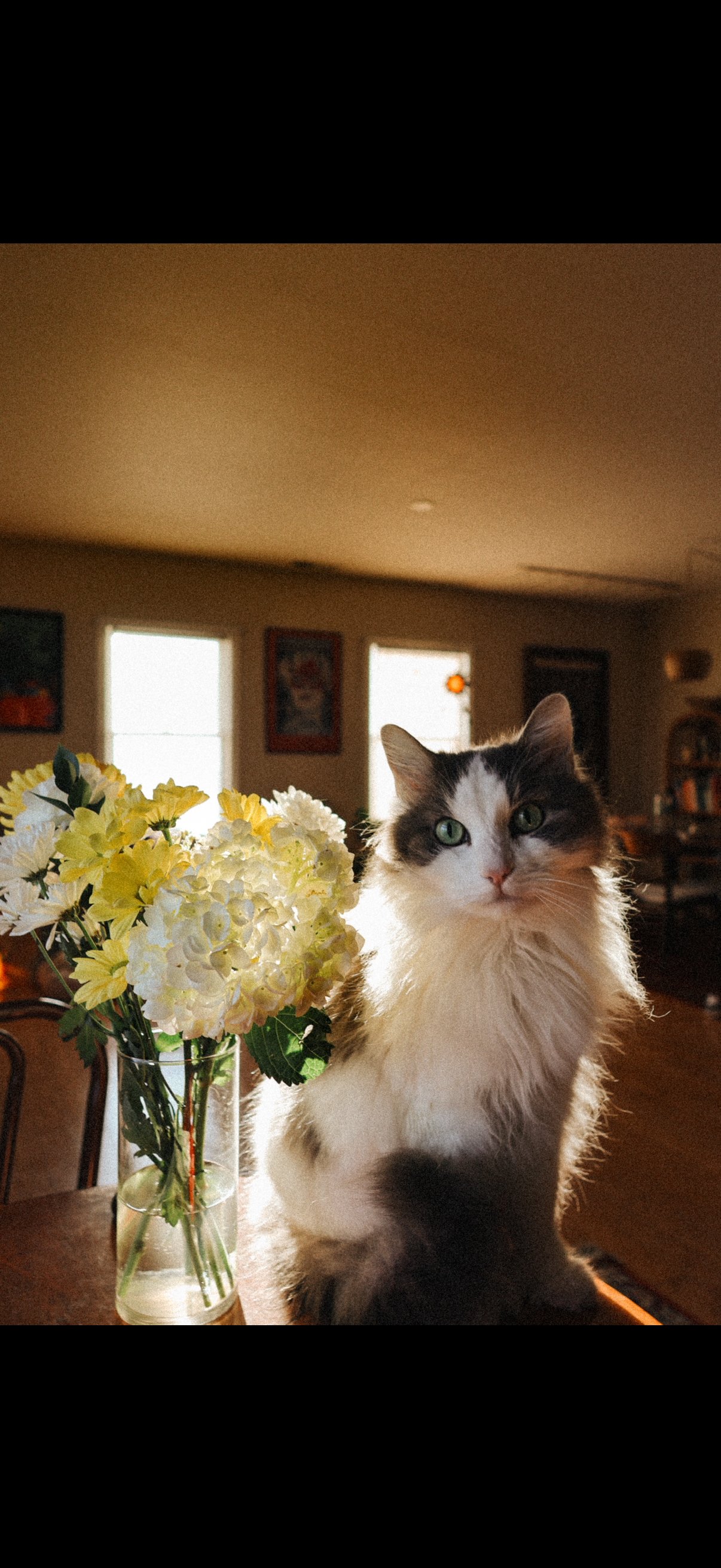 🍂 Why We Feel Drained This Time of Year