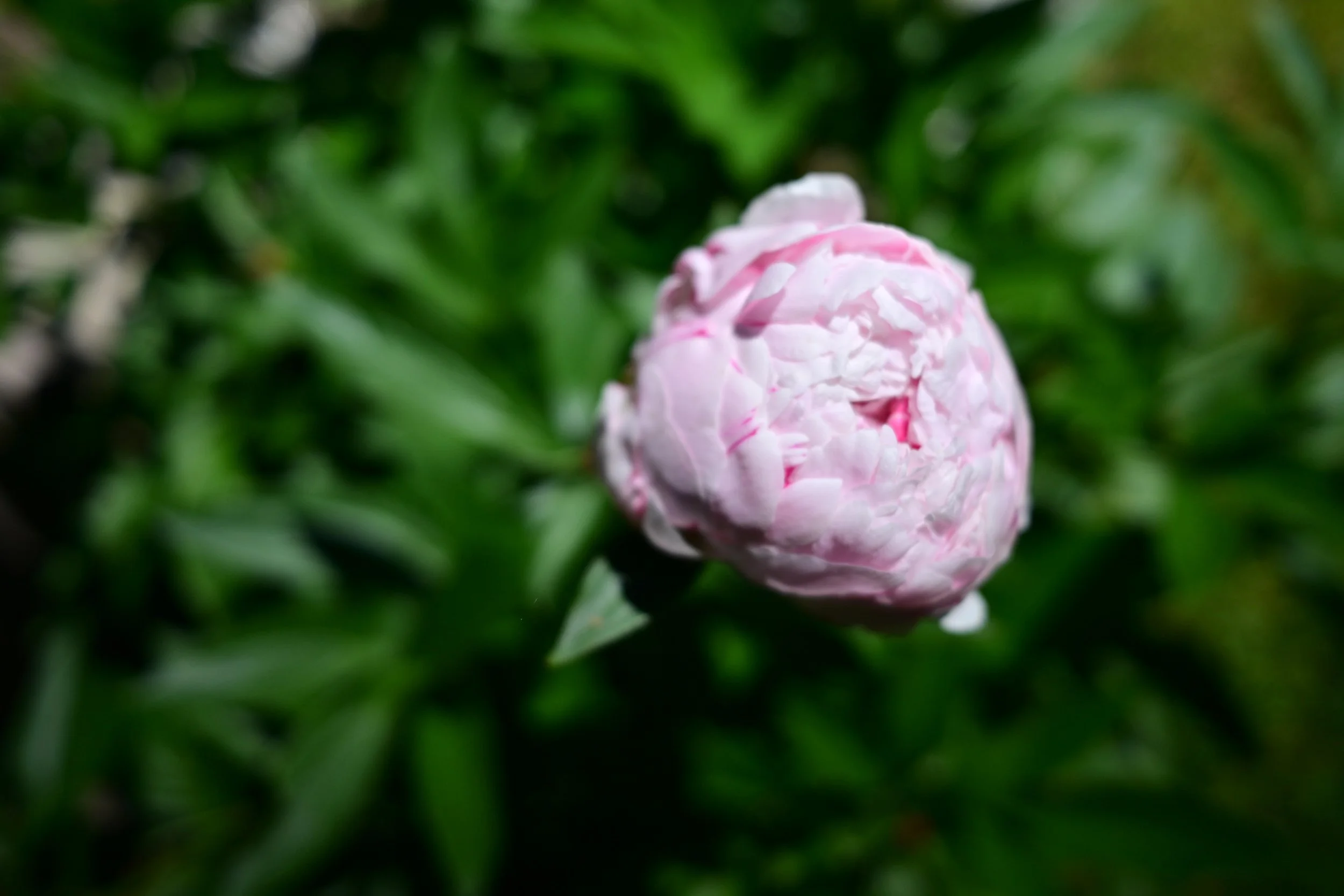 The ADHD-PMDD Connection: What Many Women Don't Realize