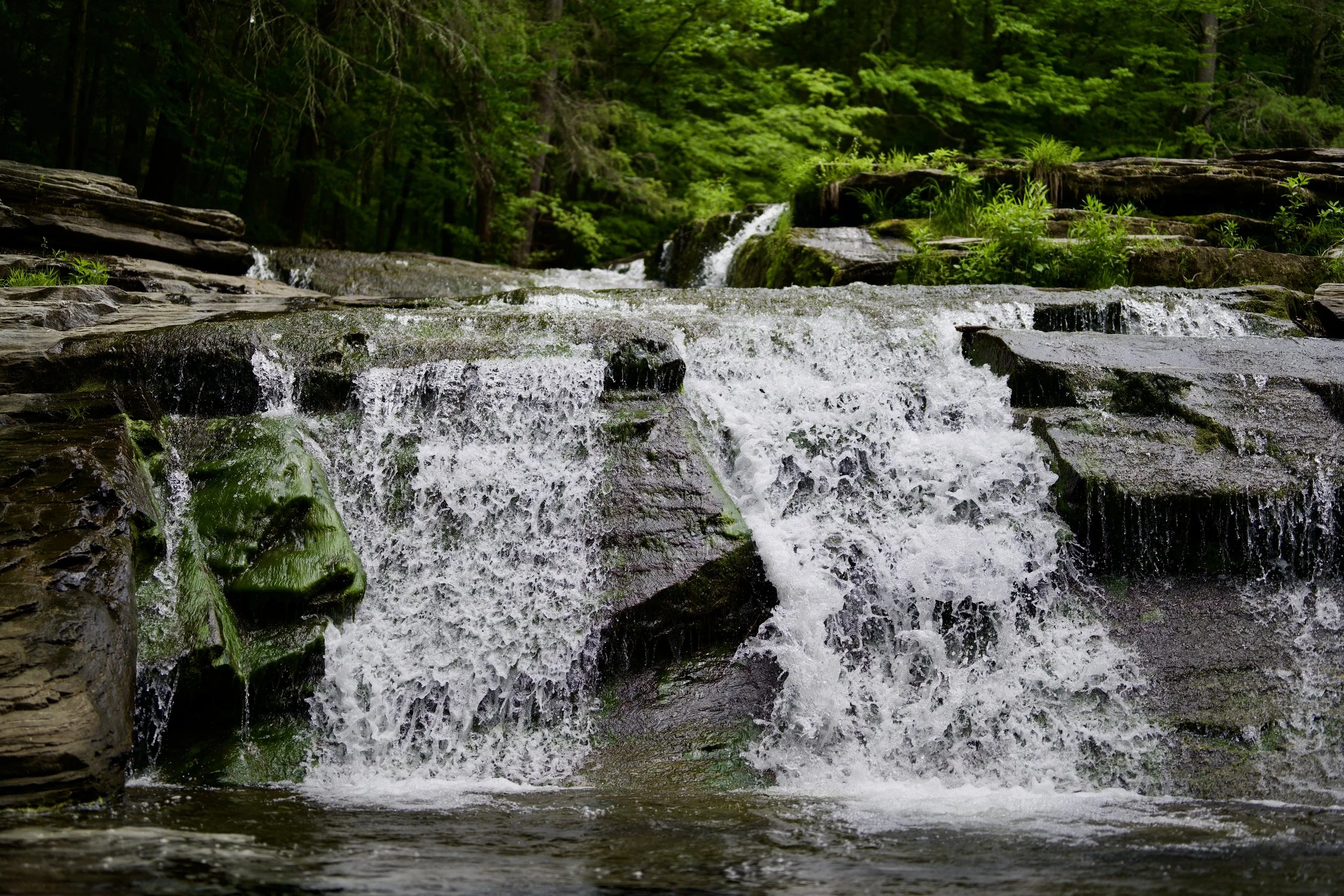 DSC_0144.jpeg