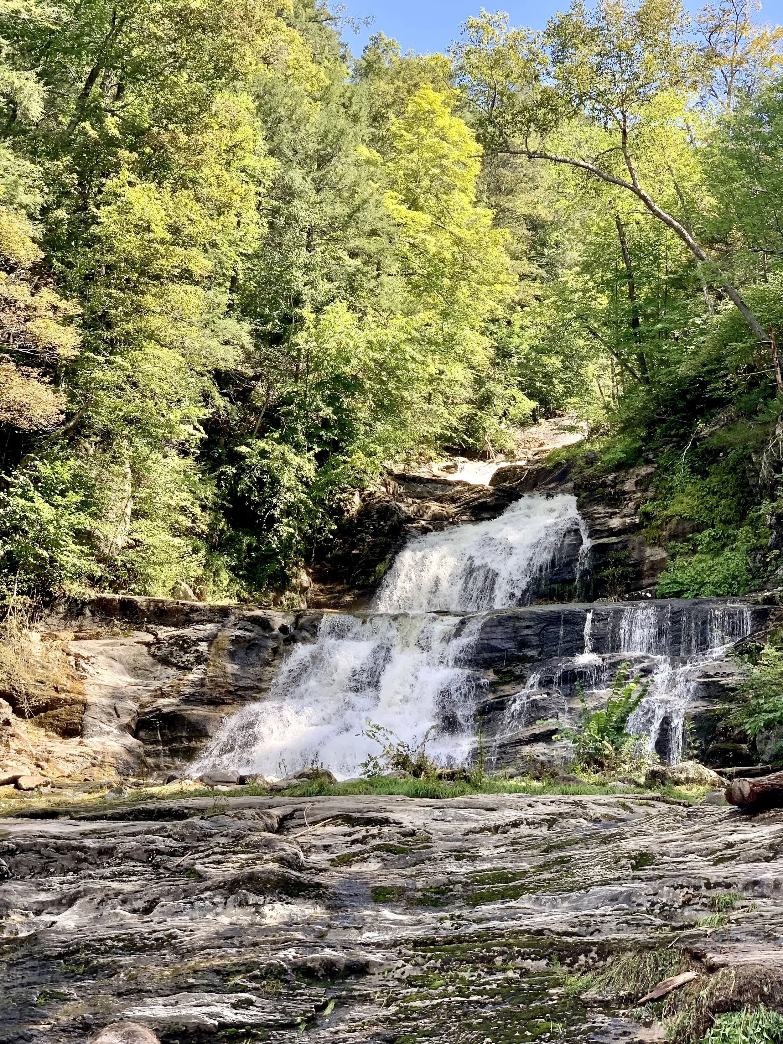 A scenic view of a waterfall flowing over rocks, surrounded by lush green trees and foliage under a bright blue sky.
