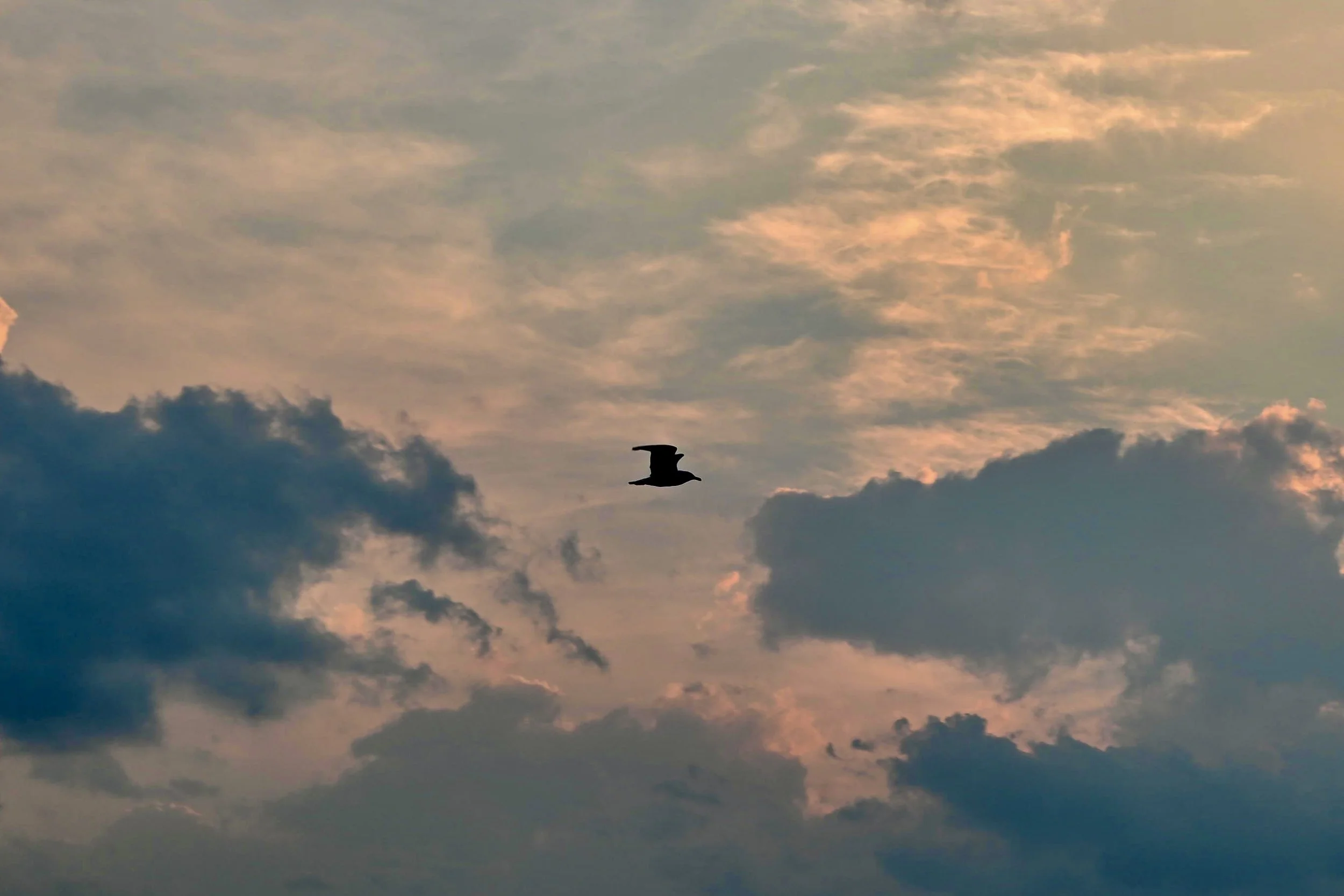 Rooted in Serenity | Psychiatric Medication Management | Connecticut