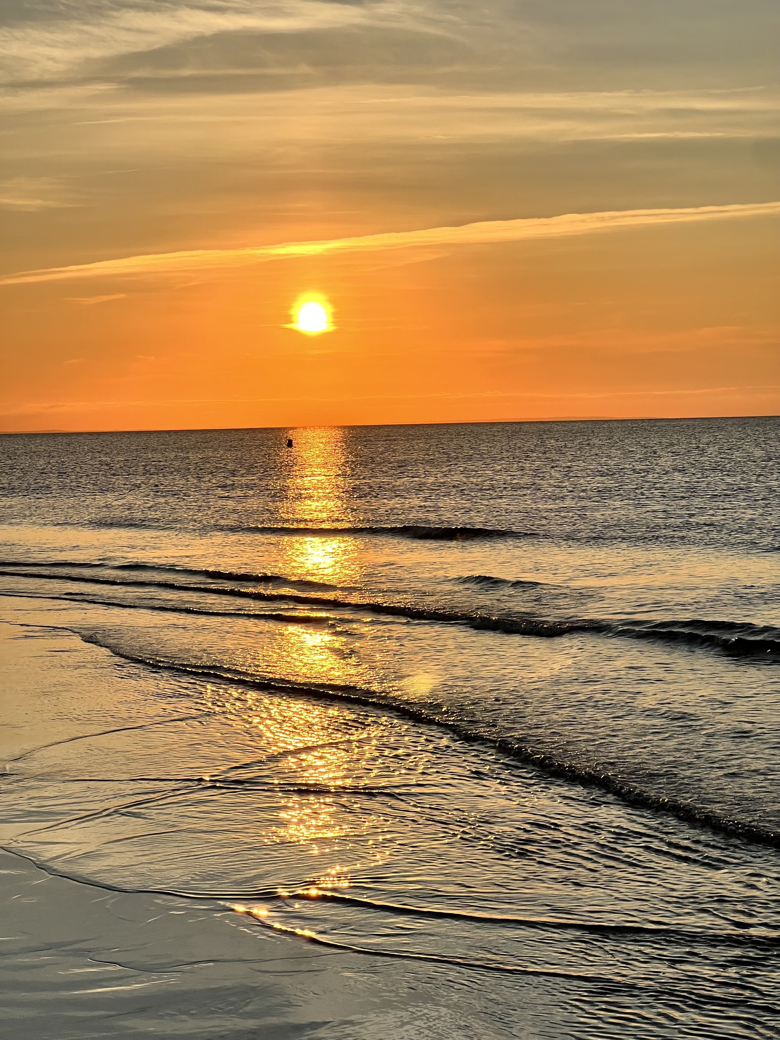 Rooted in Serenity Behavioral Health | Psychiatric Medication Mangement | Connecticut