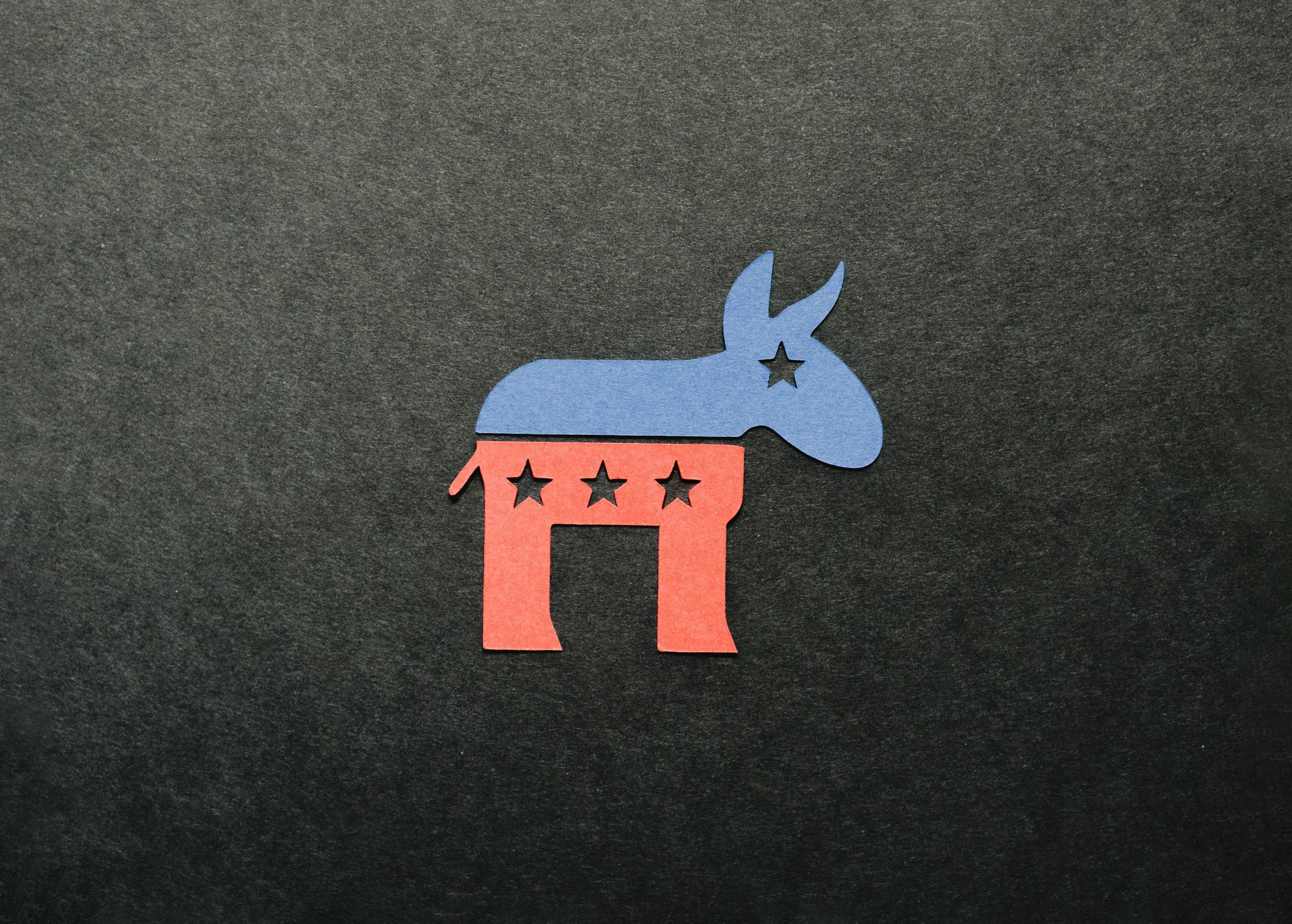 Michigan Democrats Capitulate to Radical Socialists