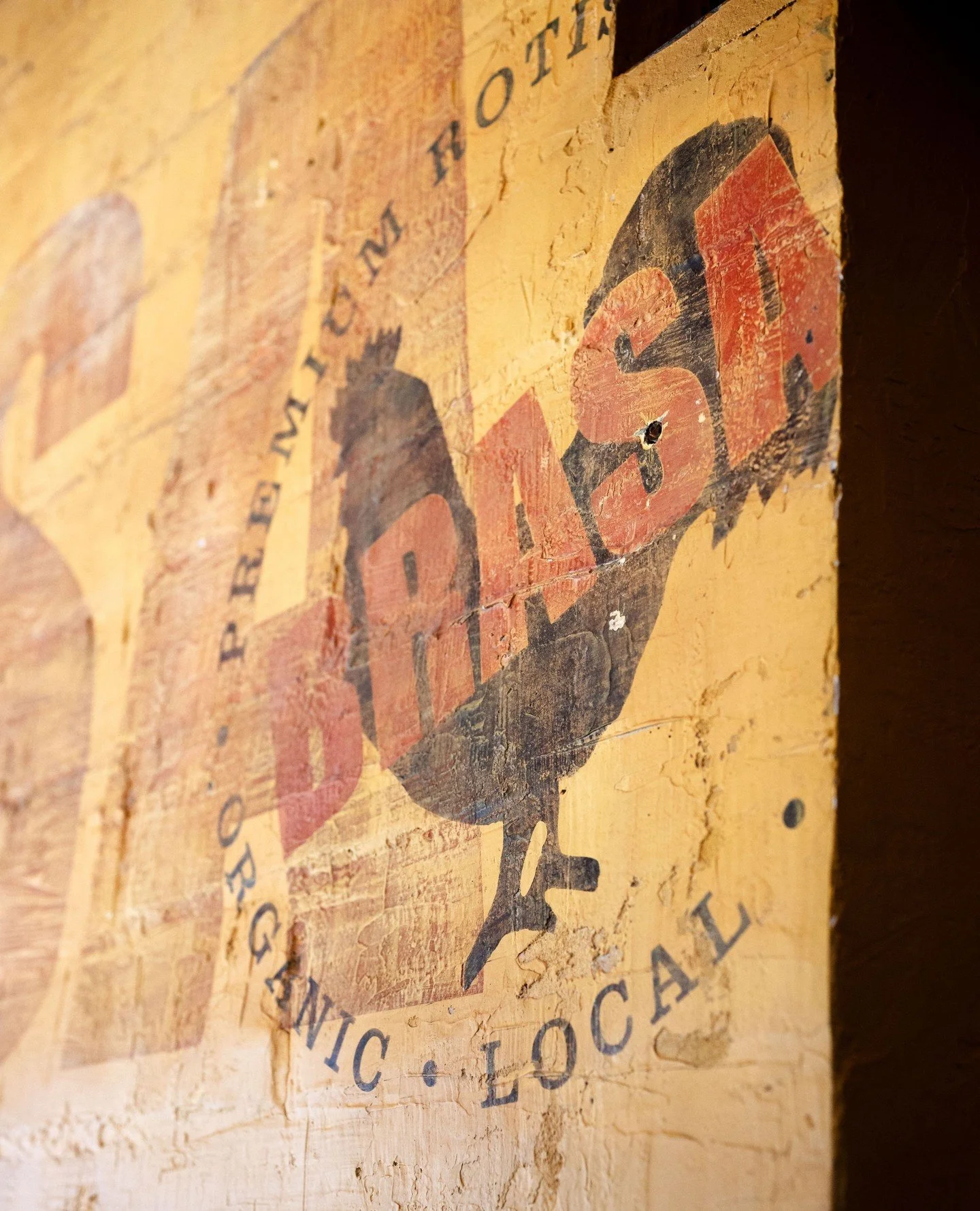 Filet and truffles might impress, but slow roasted chicken and #GreenSauce says "I love you" 🥰⁠
⁠
#ValentinesDay at Brasa: no reservations, white tableclothes, or fuss. Dine-in with your special someone -or- order takeout for a quiet night