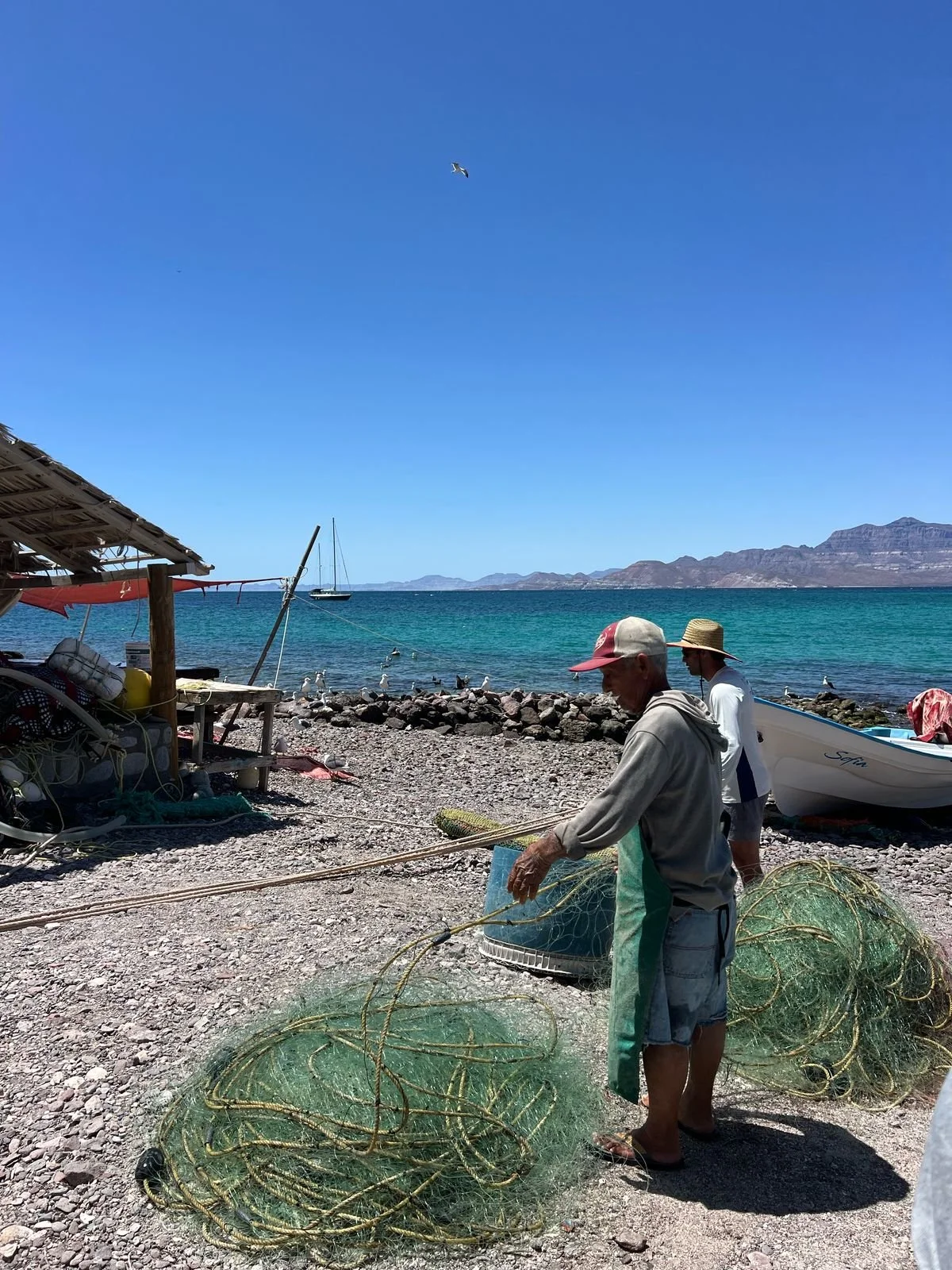 A man wearing a grey hoodie, red and white cap, and shorts standing on a beach, holding tangled fishing nets, with another man in a hat nearby. The beach has a rocky shore, with a small boat and seagulls, and mountains in the distance under a clear b