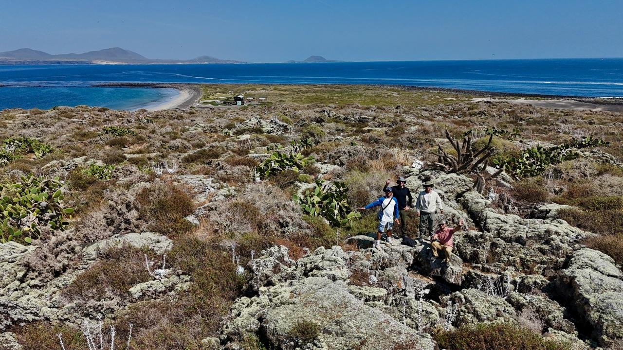 Four people hiking on rocky terrain near the ocean, with desert plants and cacti, under a bright blue sky.