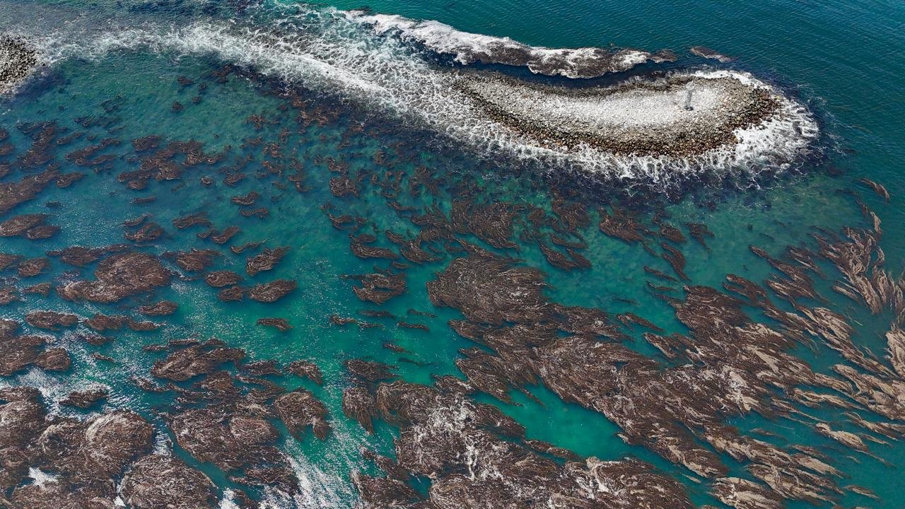 Aerial view of rocky shoreline with turquoise water and waves crashing over the rocks