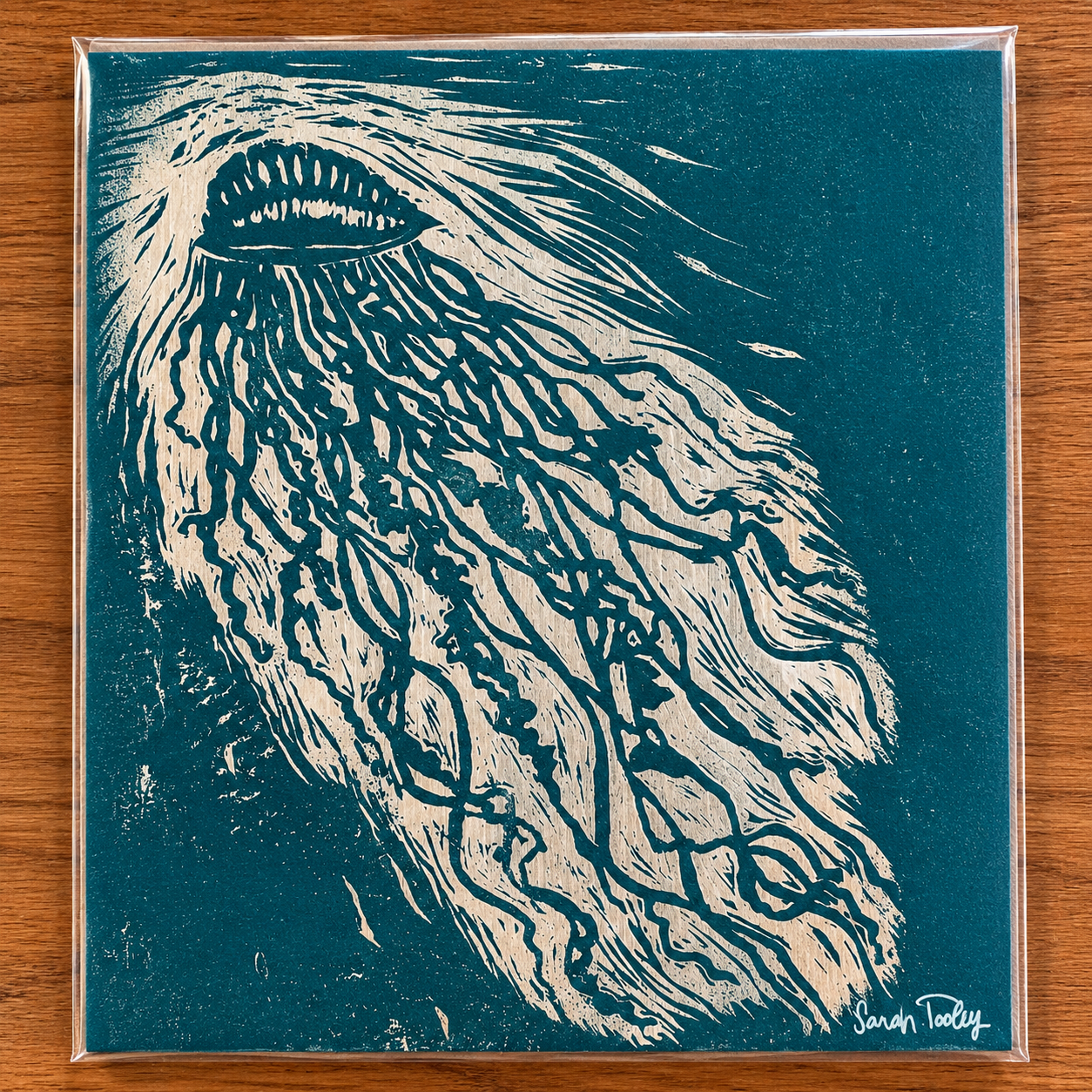 A print of a Portuguese Man of War on a wooden surface with a teal background in a plastic sleeve, signed by Sarah Dooley.