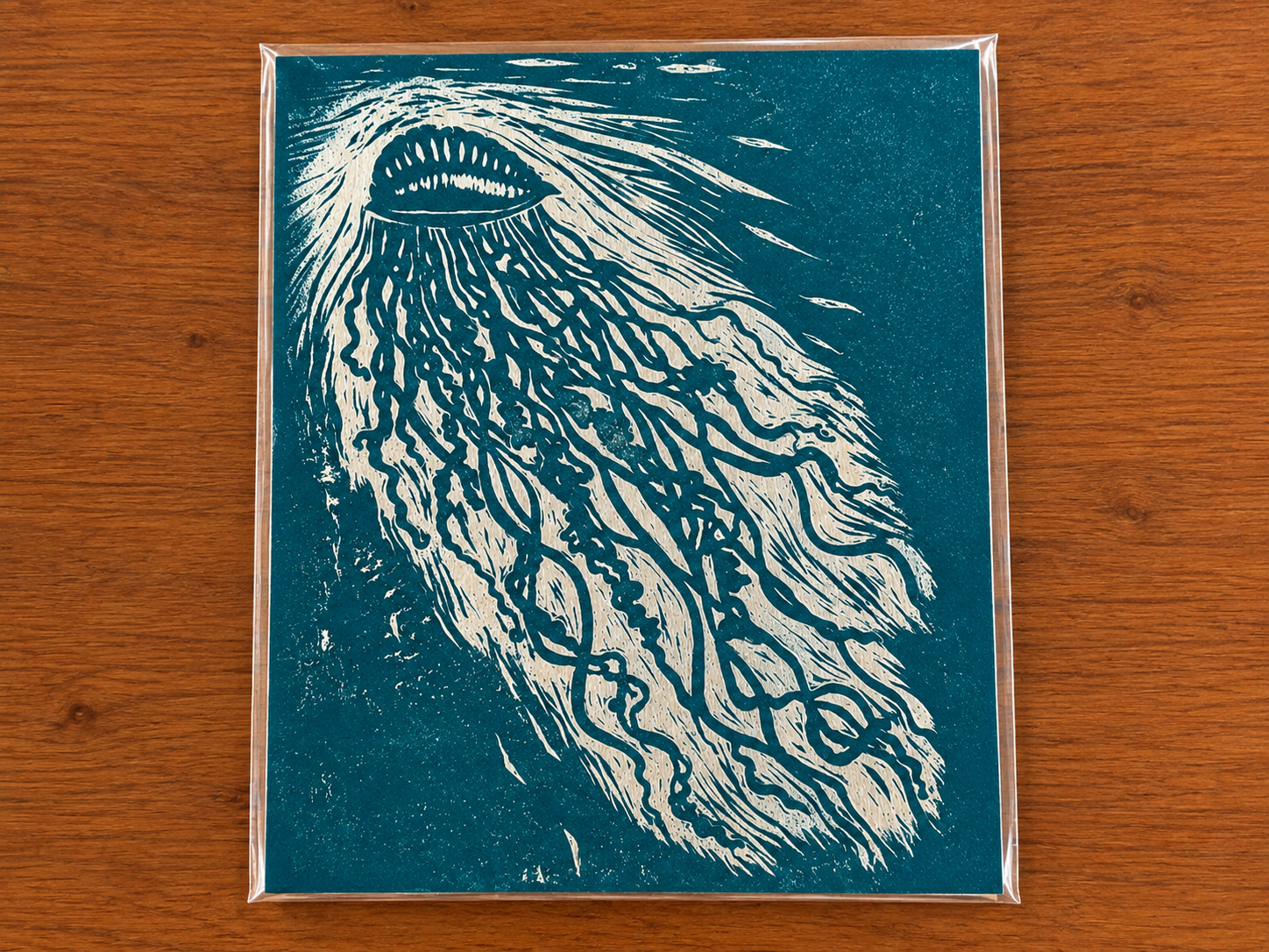 A print of a Portuguese Man of War on a wooden surface with a teal background in a plastic sleeve, signed by Sarah Dooley.