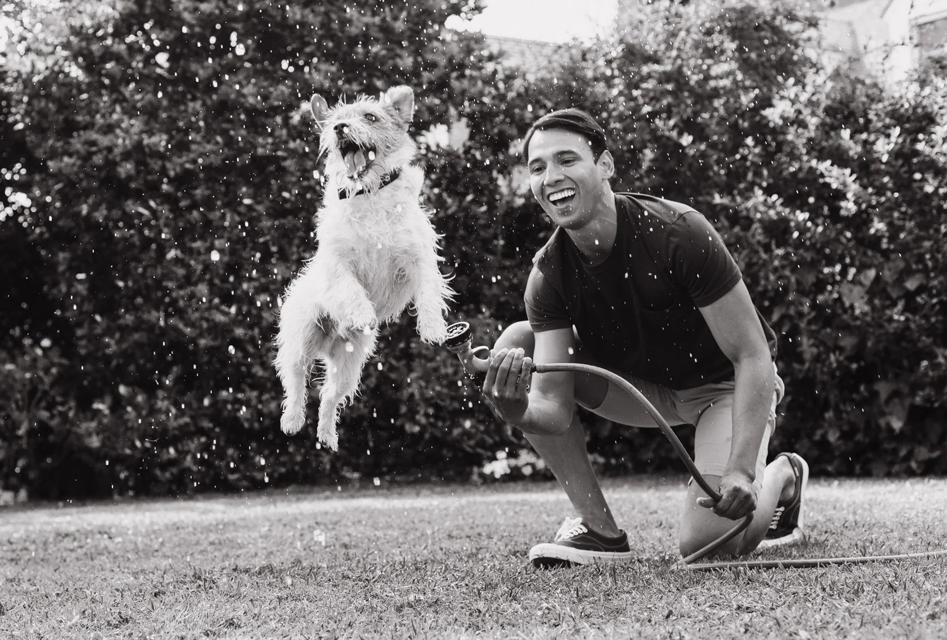 Screen Shot 2022-07-22 at 12.28.40 copy.jpg