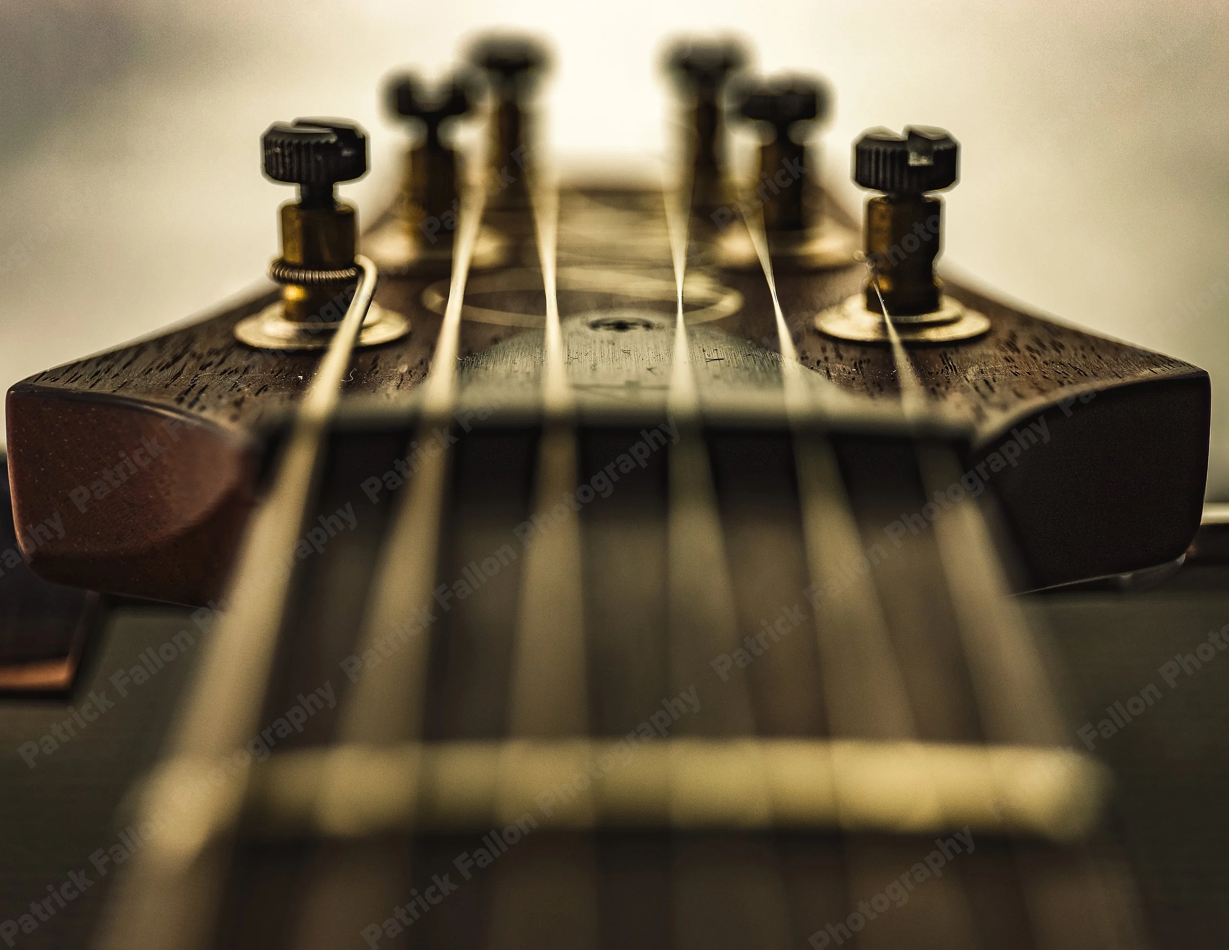 Guitar_PRS_EPIC_PTF.jpg