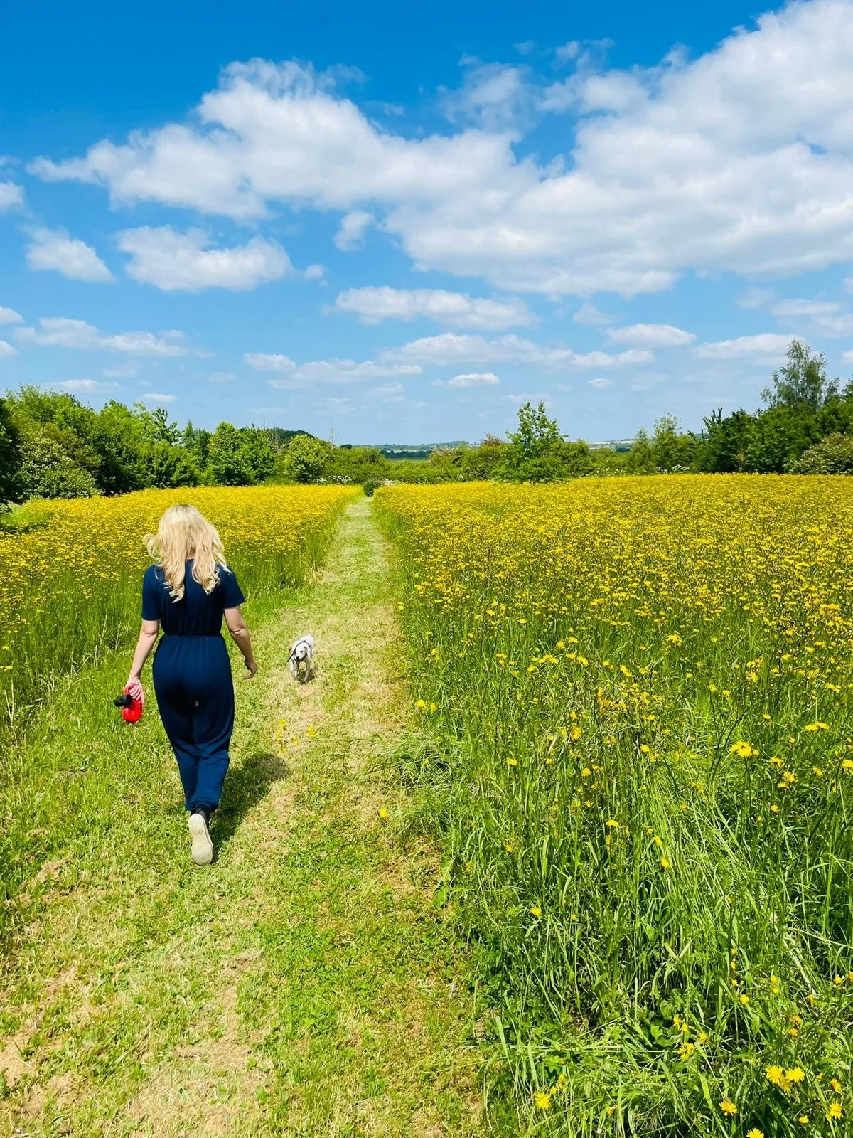 Woman walking on a grassy trail through a yellow flower field with a small dog, under a blue sky with scattered clouds.