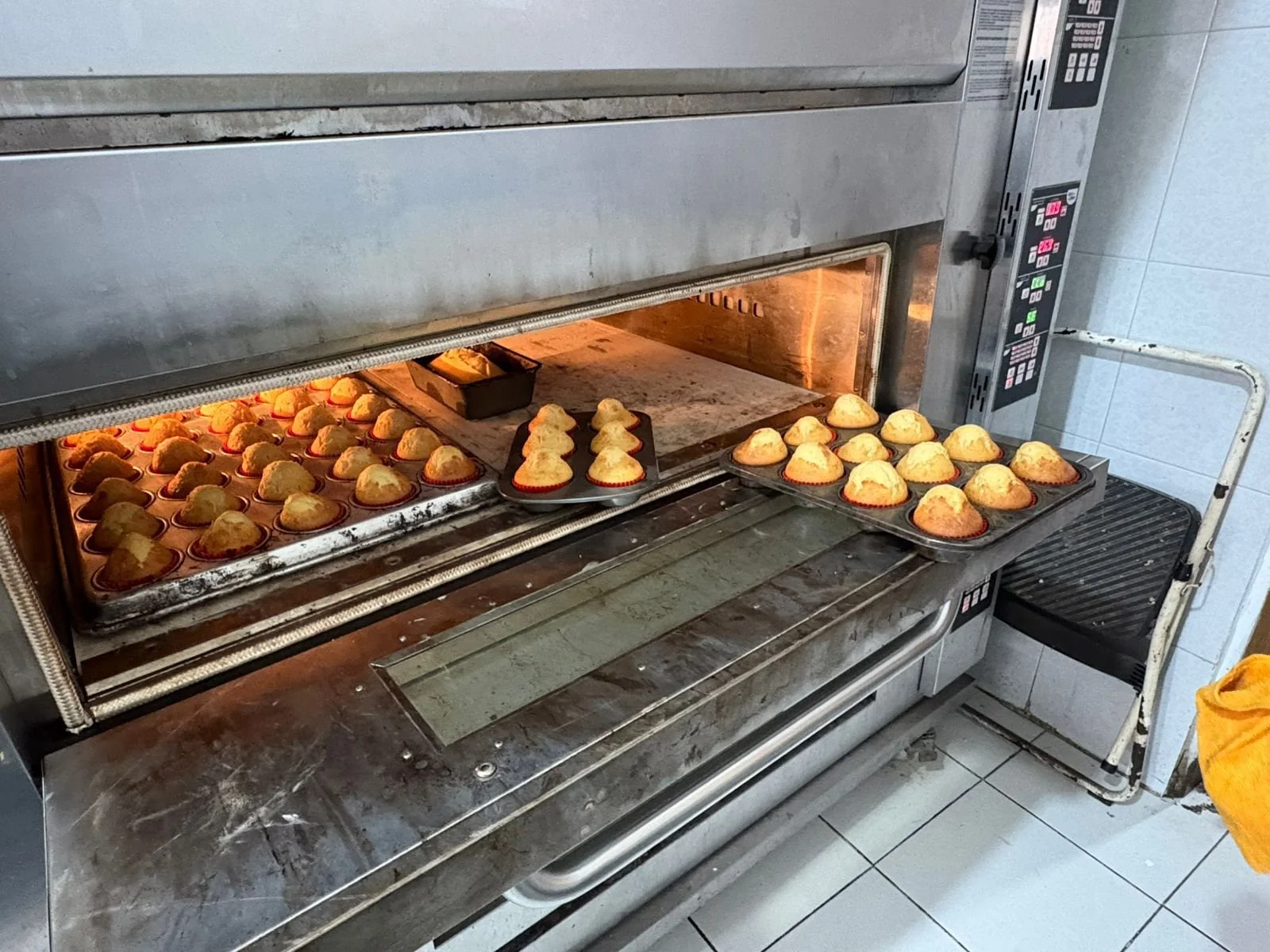 WhatsApp Image 2026-03-12 at 11.54.34 AM (9).jpeg