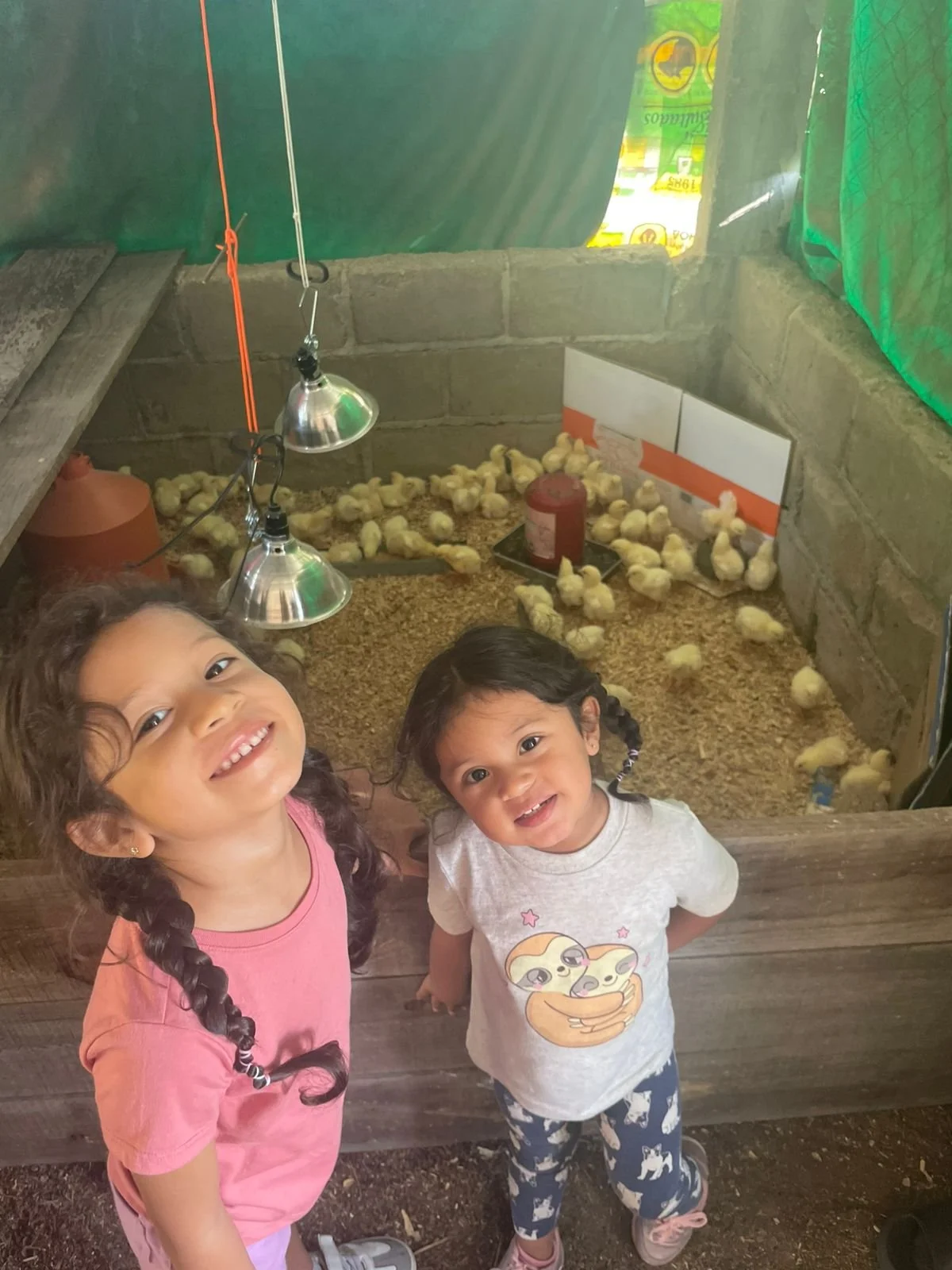 Hannah y Tammy pollitos.jpg