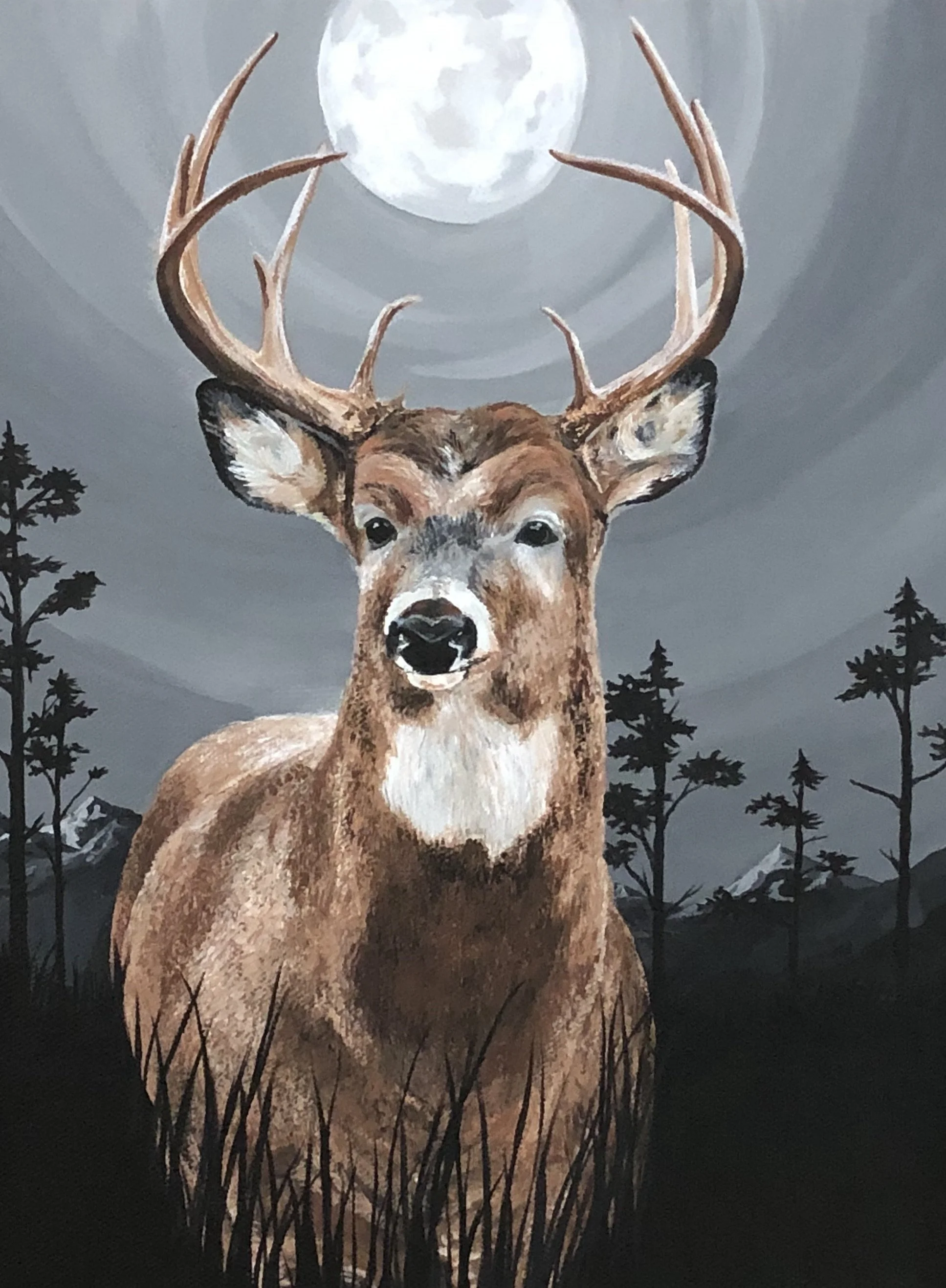 Whitetail.jpeg