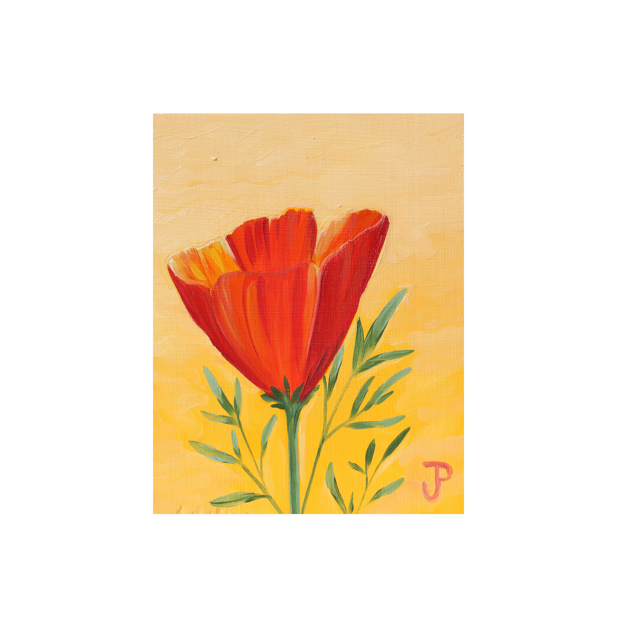 IMG_0705.png