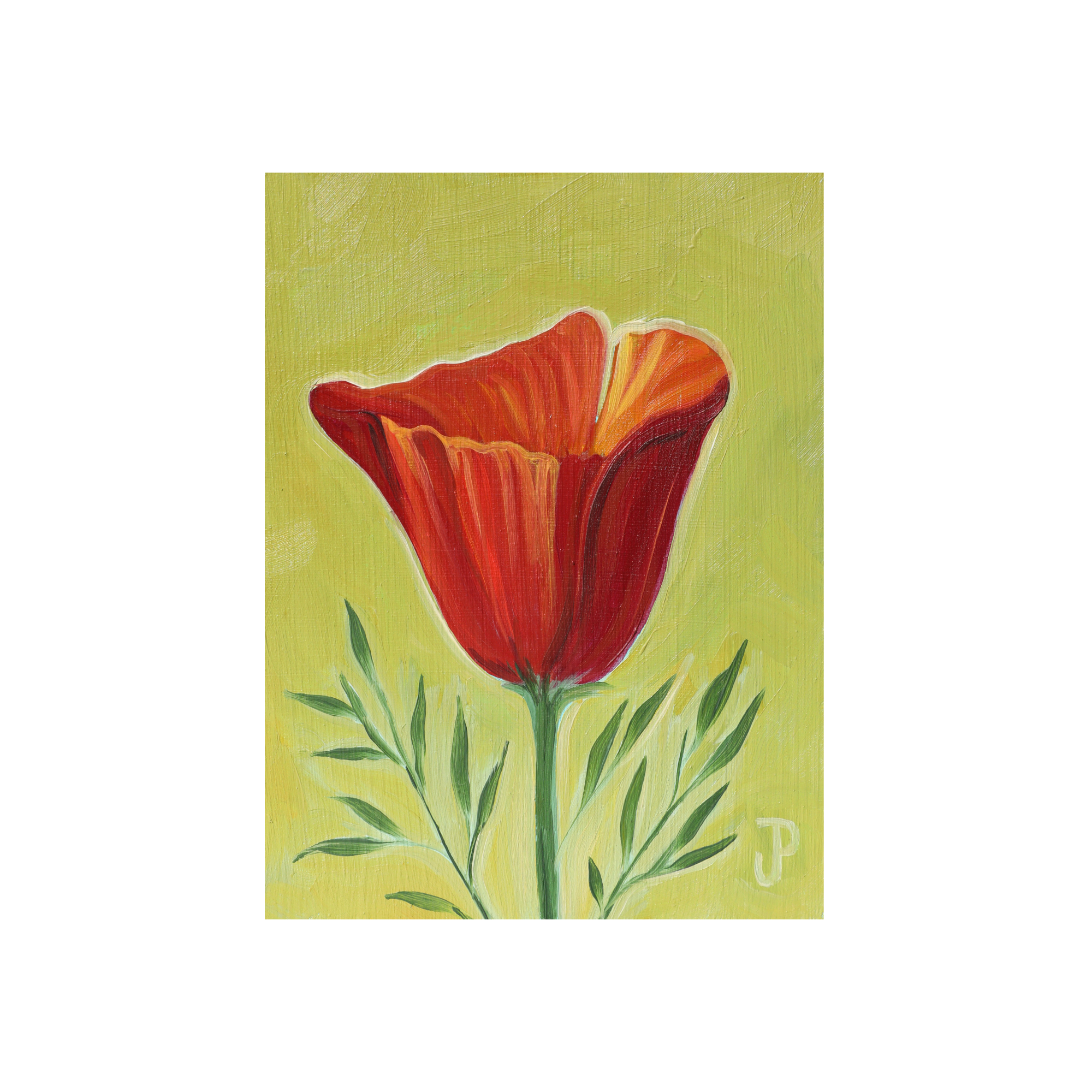 IMG_0708.png