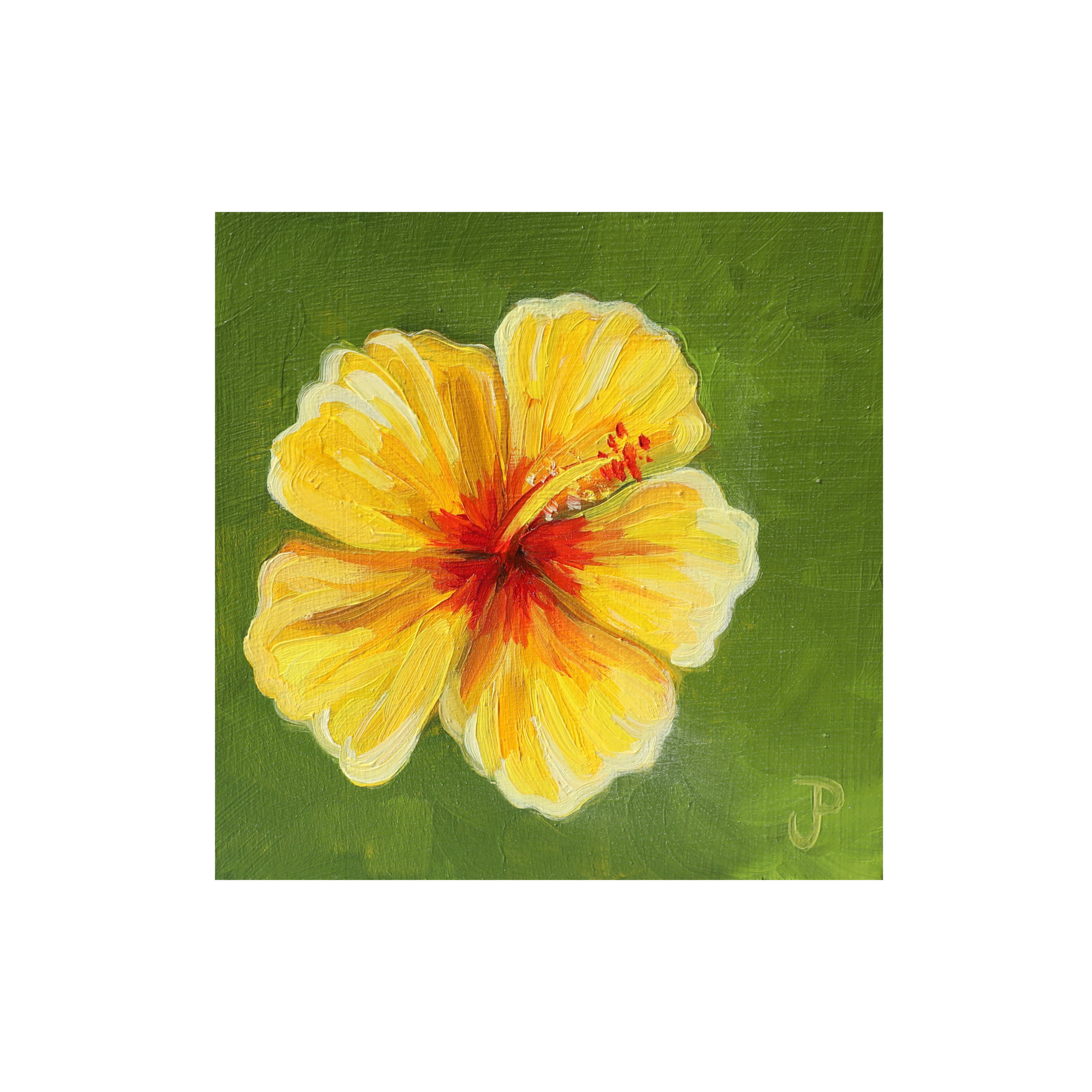 IMG_0718.png