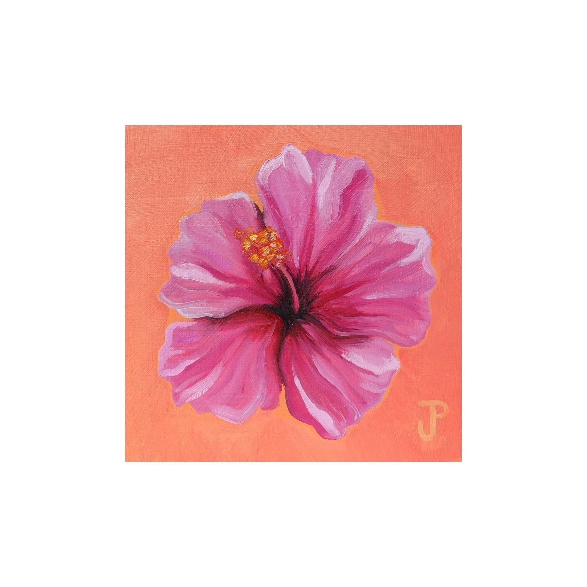 IMG_0706.png