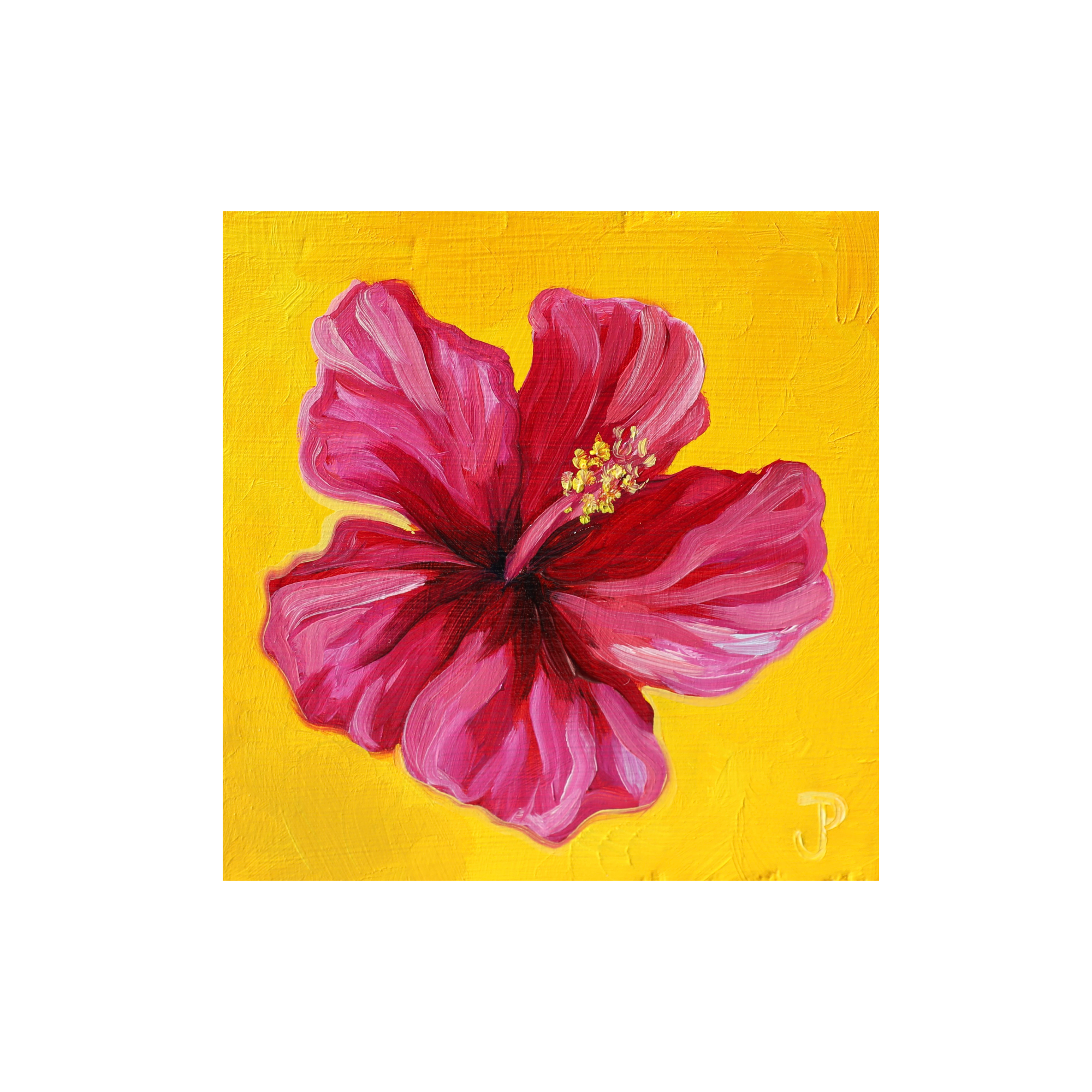 IMG_0716.png