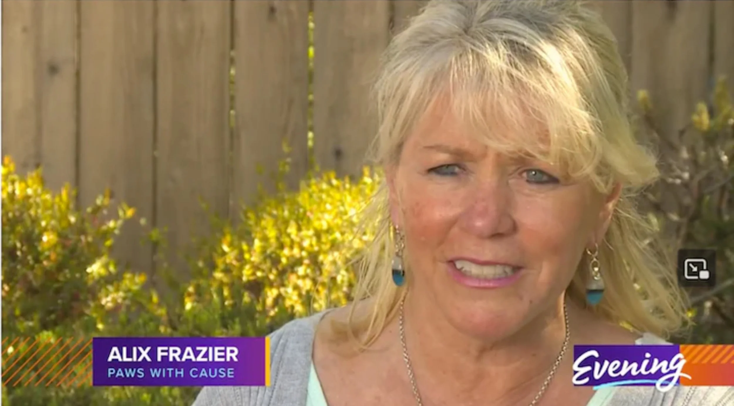 As Seen On TV: Local NBC affiliate King 5 did a fantastic story on PawsWithCause and our founder, Alix Frazier, for their Evening Magazine.