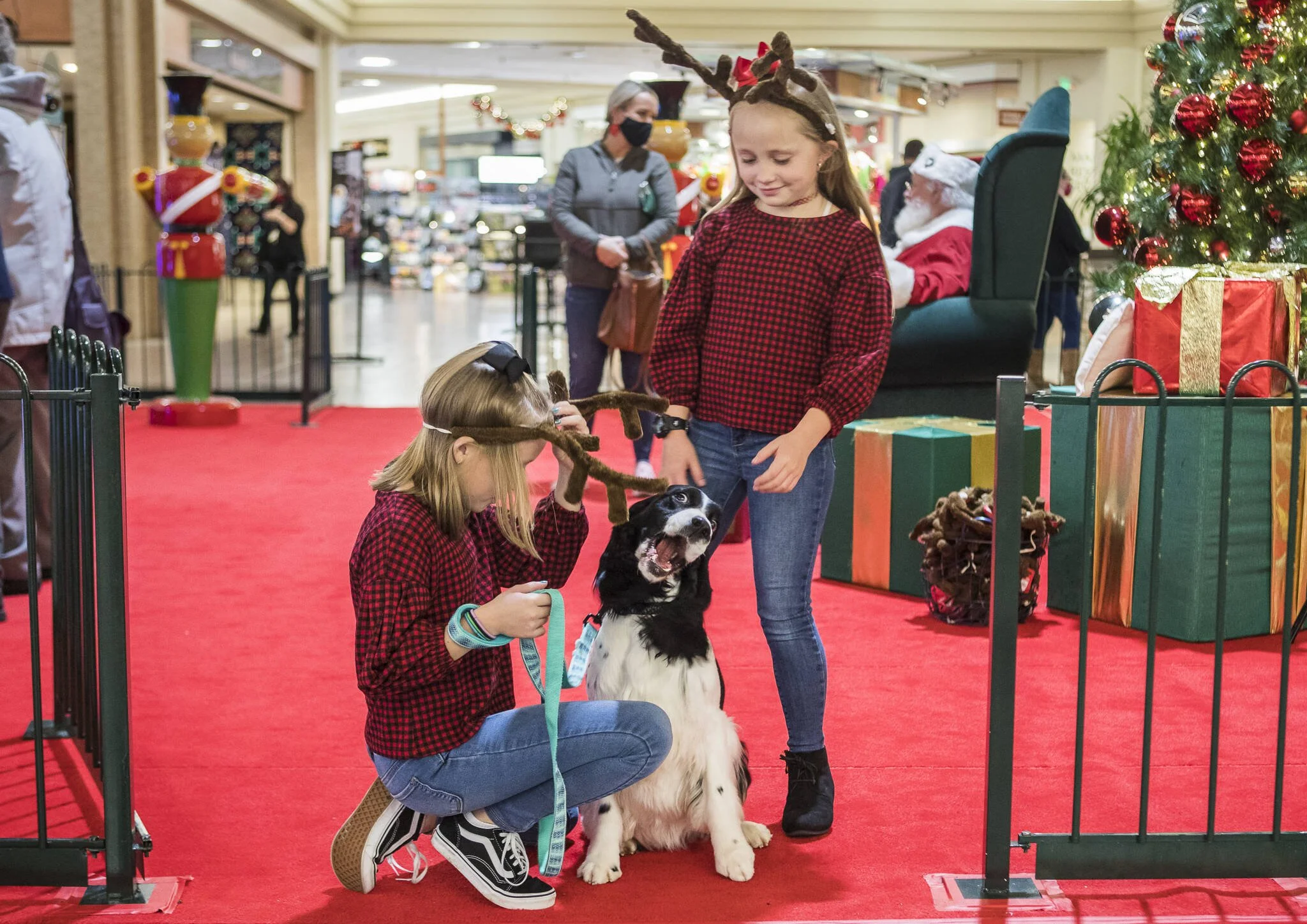 Paws With Cause raises money for shelter pets through art. Portraits put a face on rescue pets and give human painters of all ages a creative outlet.
