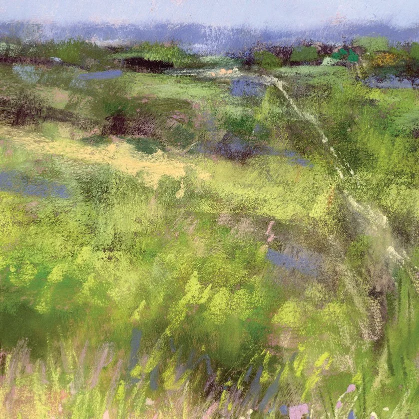 Meadow_16-web_closeup1.jpg