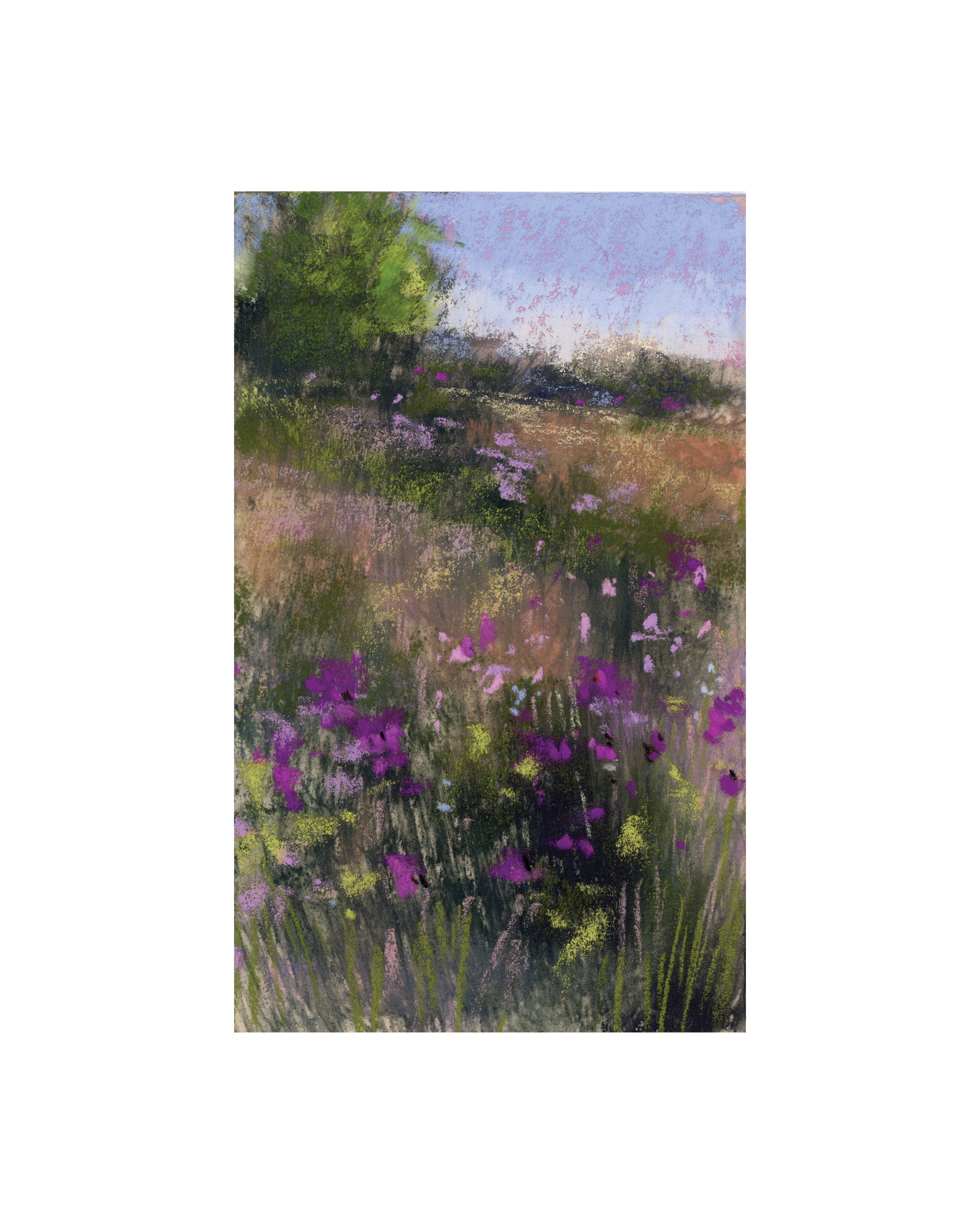 meadow10.png