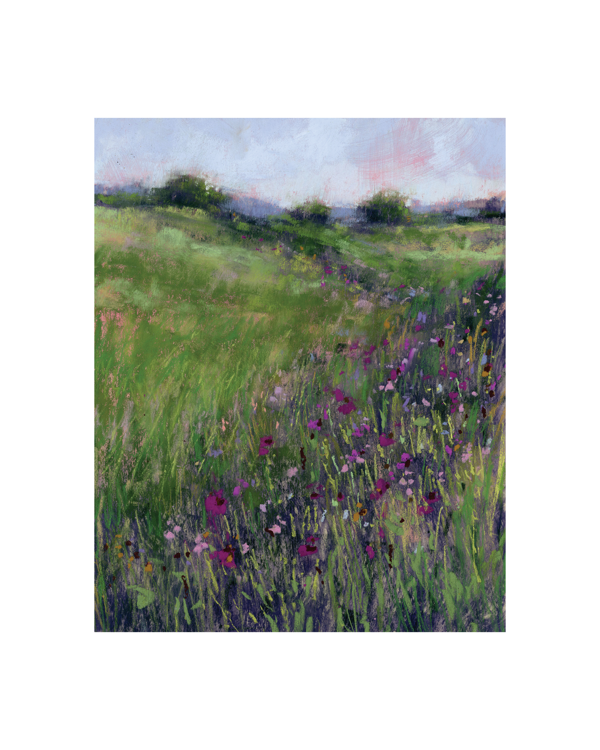 meadow11.png
