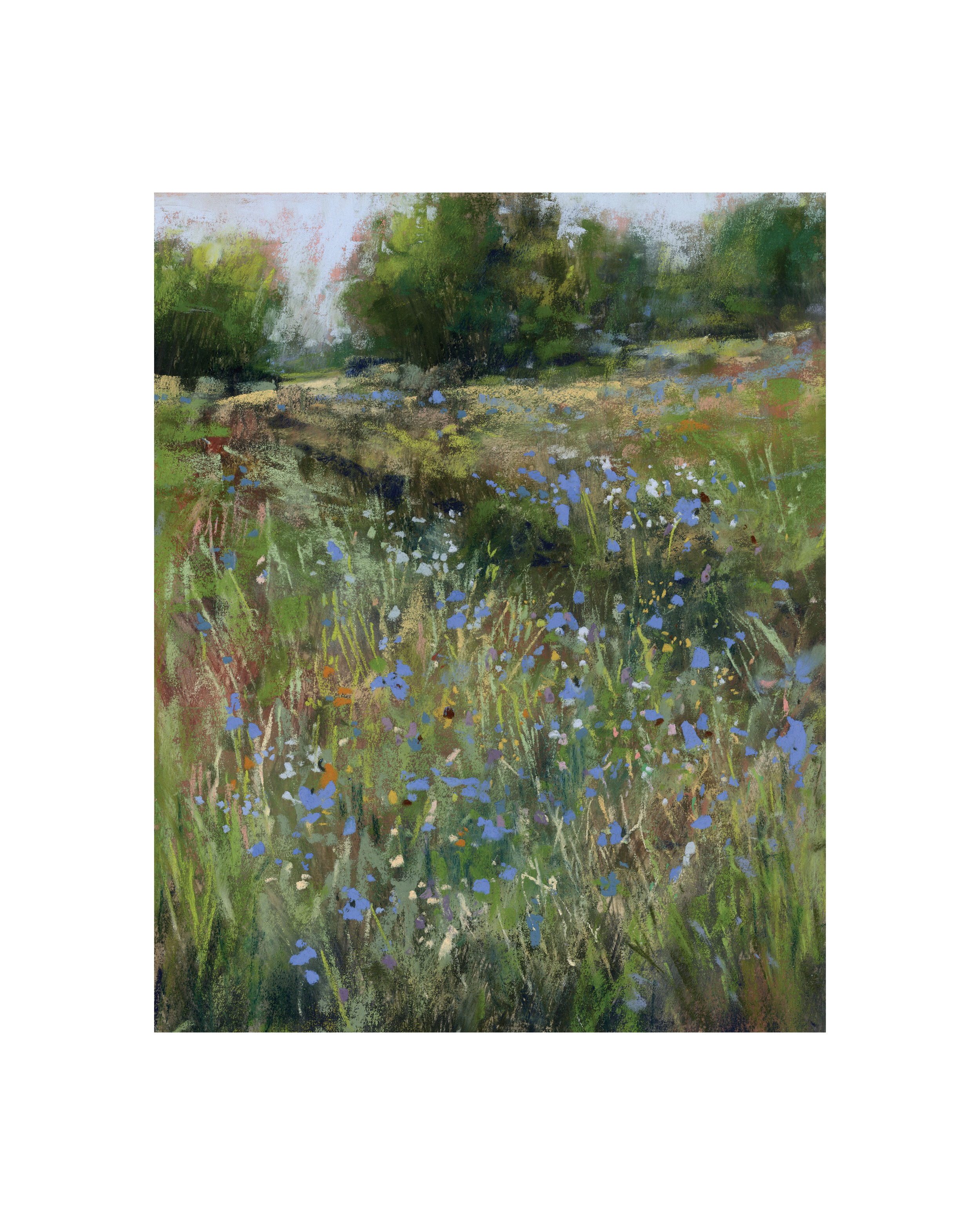 meadow4.png