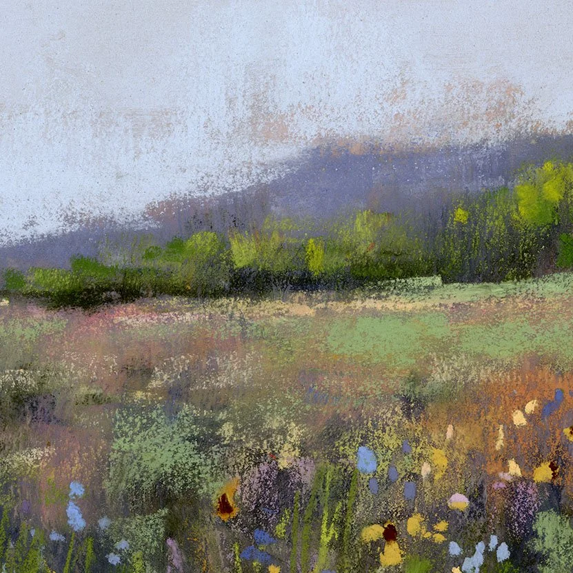 Meadow_15-web_closeup2.jpg