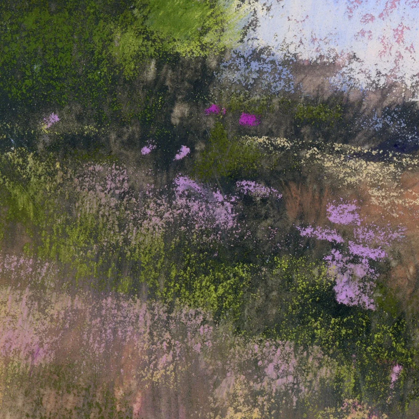 Meadow_10-web_closeup2.jpg