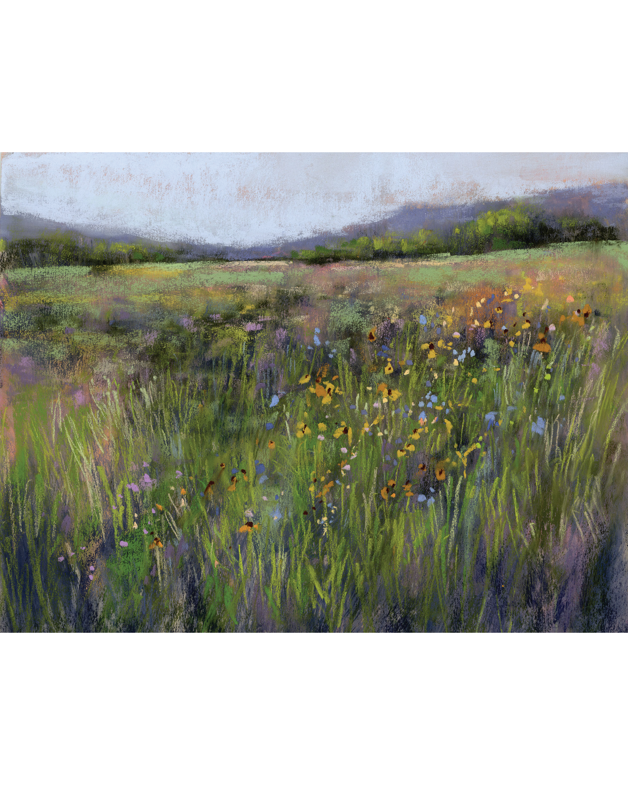 meadow5.png