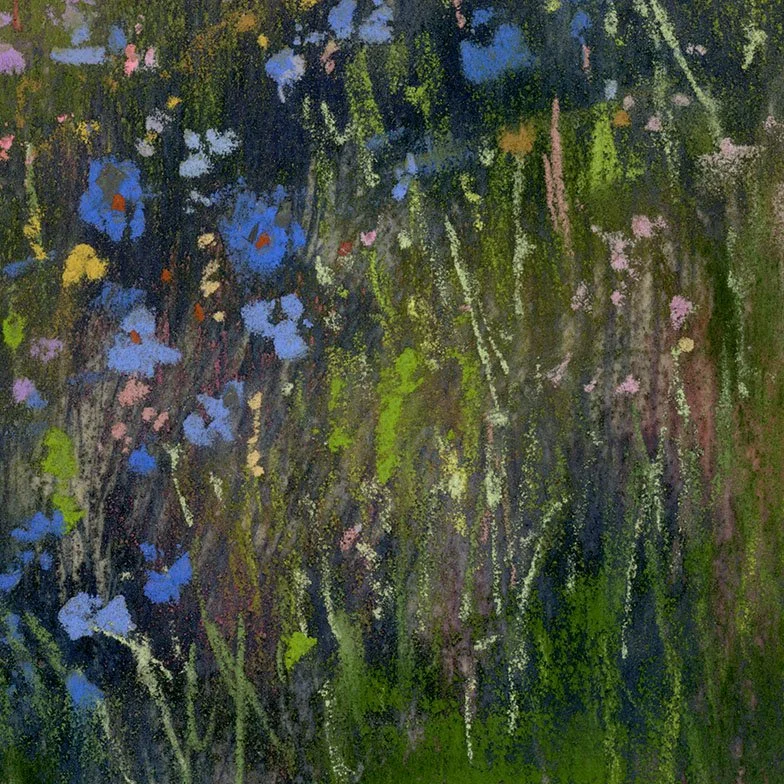 Meadow_13-web_closeup2.jpg