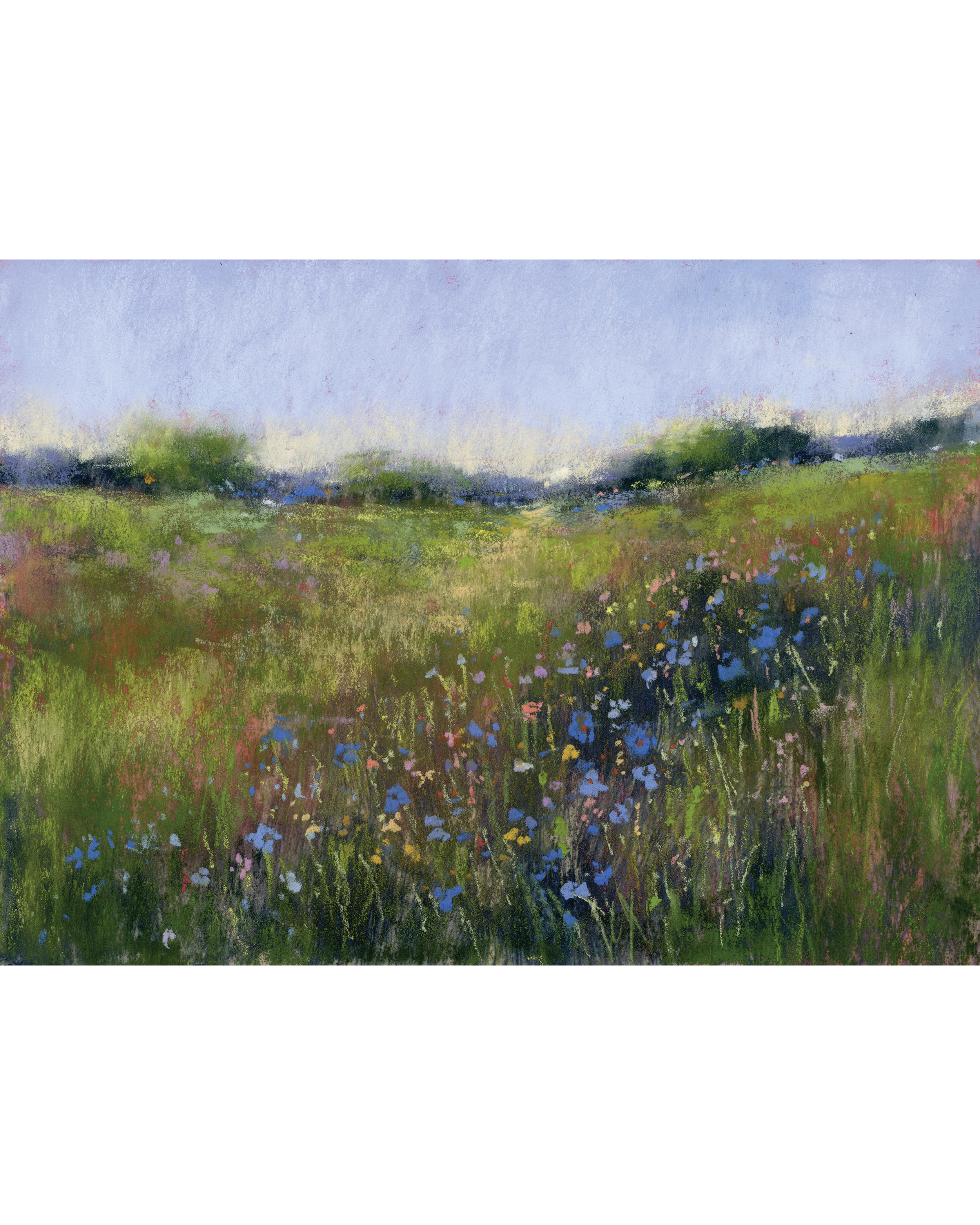 meadow4.png