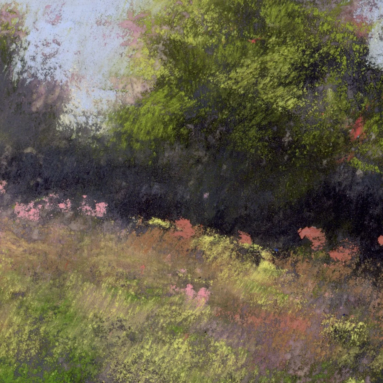 Meadow_7-web_closeup1.jpg