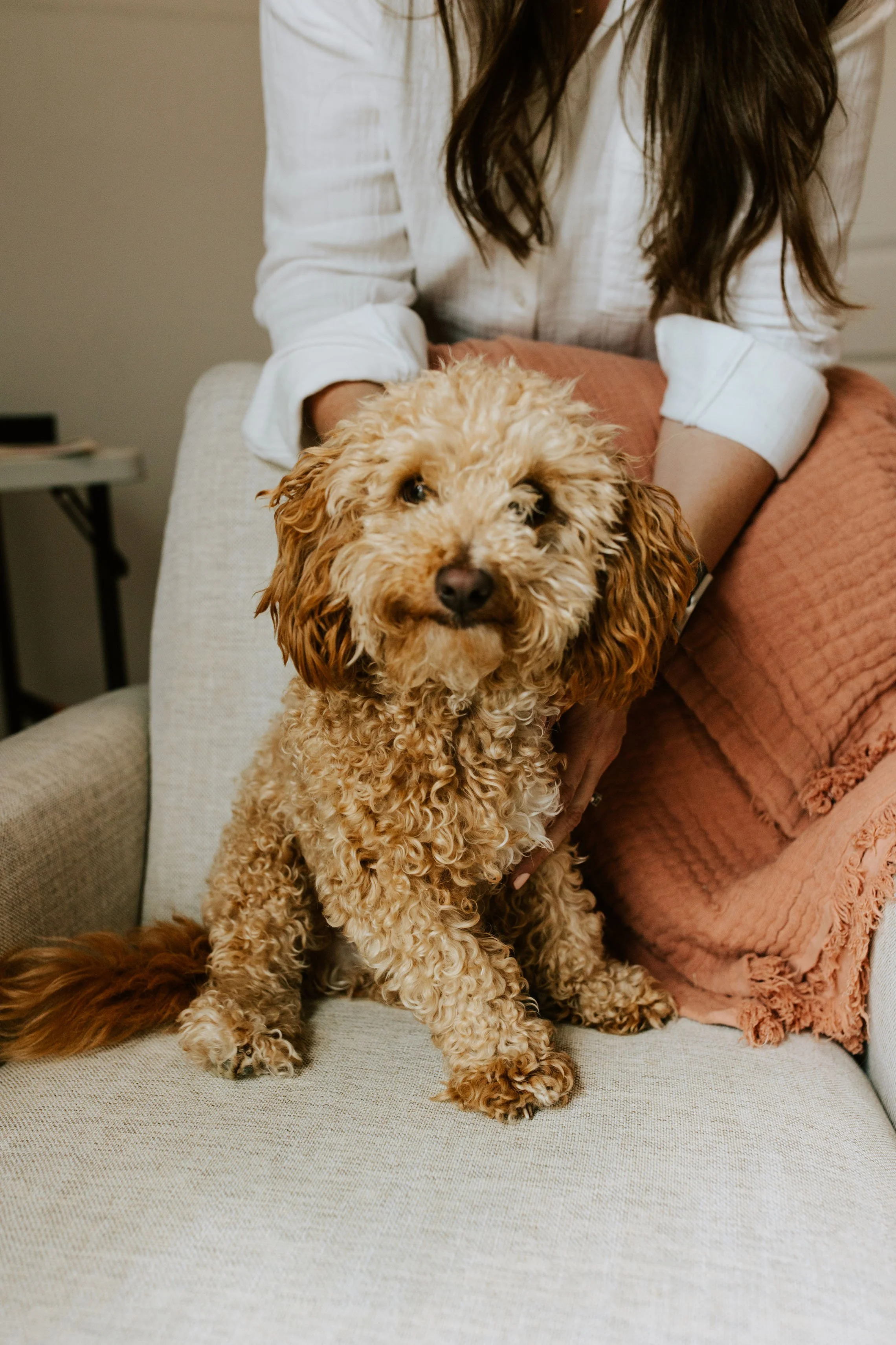 A curly-haired Maltipoo dog named Charlie is sitting on a beige couch with a pink blanket, while a woman with long brown hair wearing a white shirt is sitting behind it.