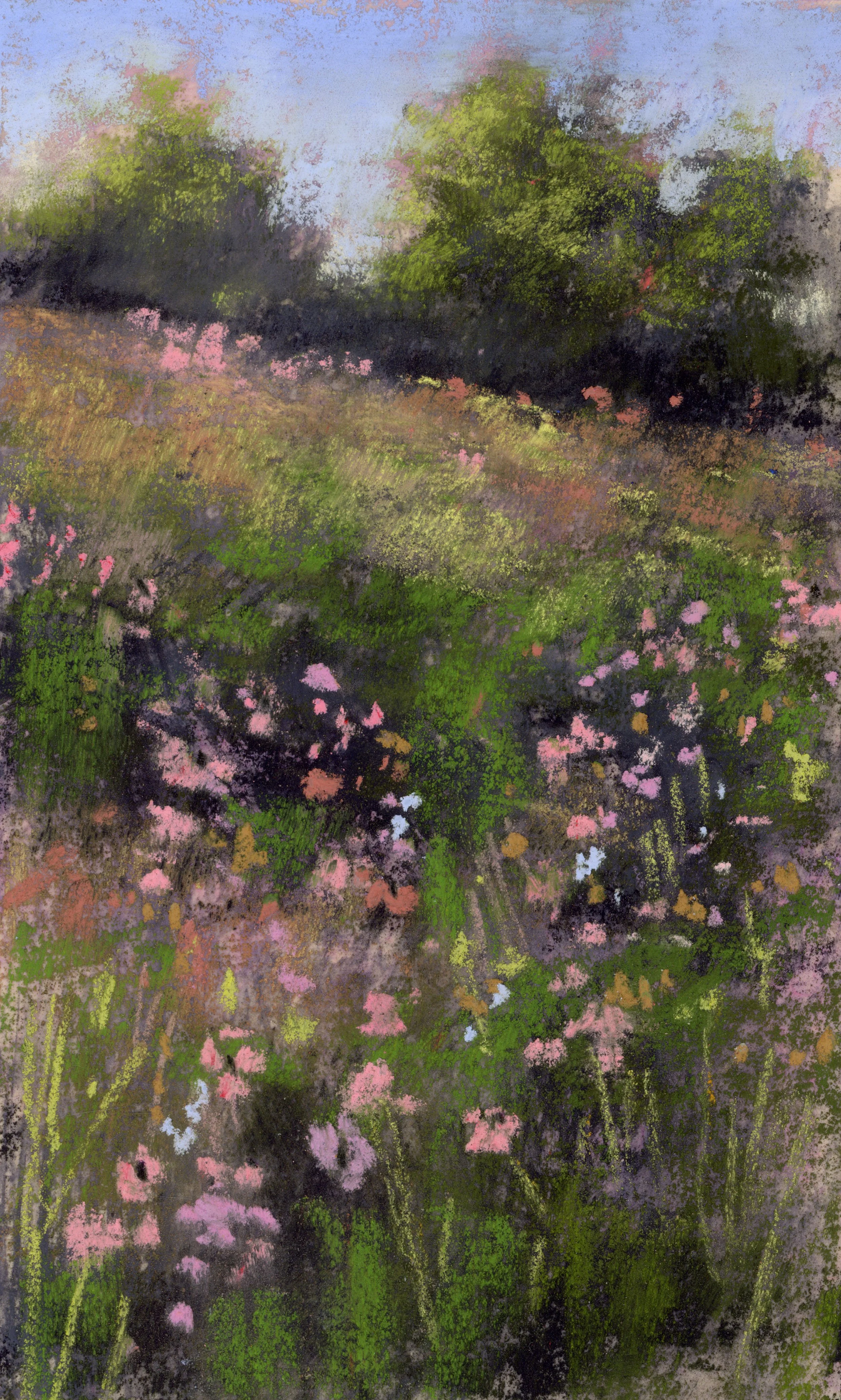 Meadow_7-web.jpg