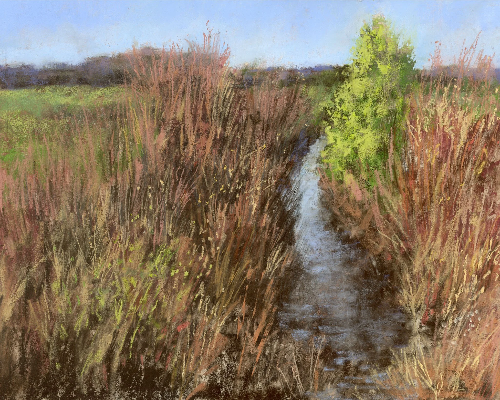 A peaceful scene of a narrow creek running through a field with tall, reddish-brown grasses on either side, and a green shrub in the distance under a blue sky.